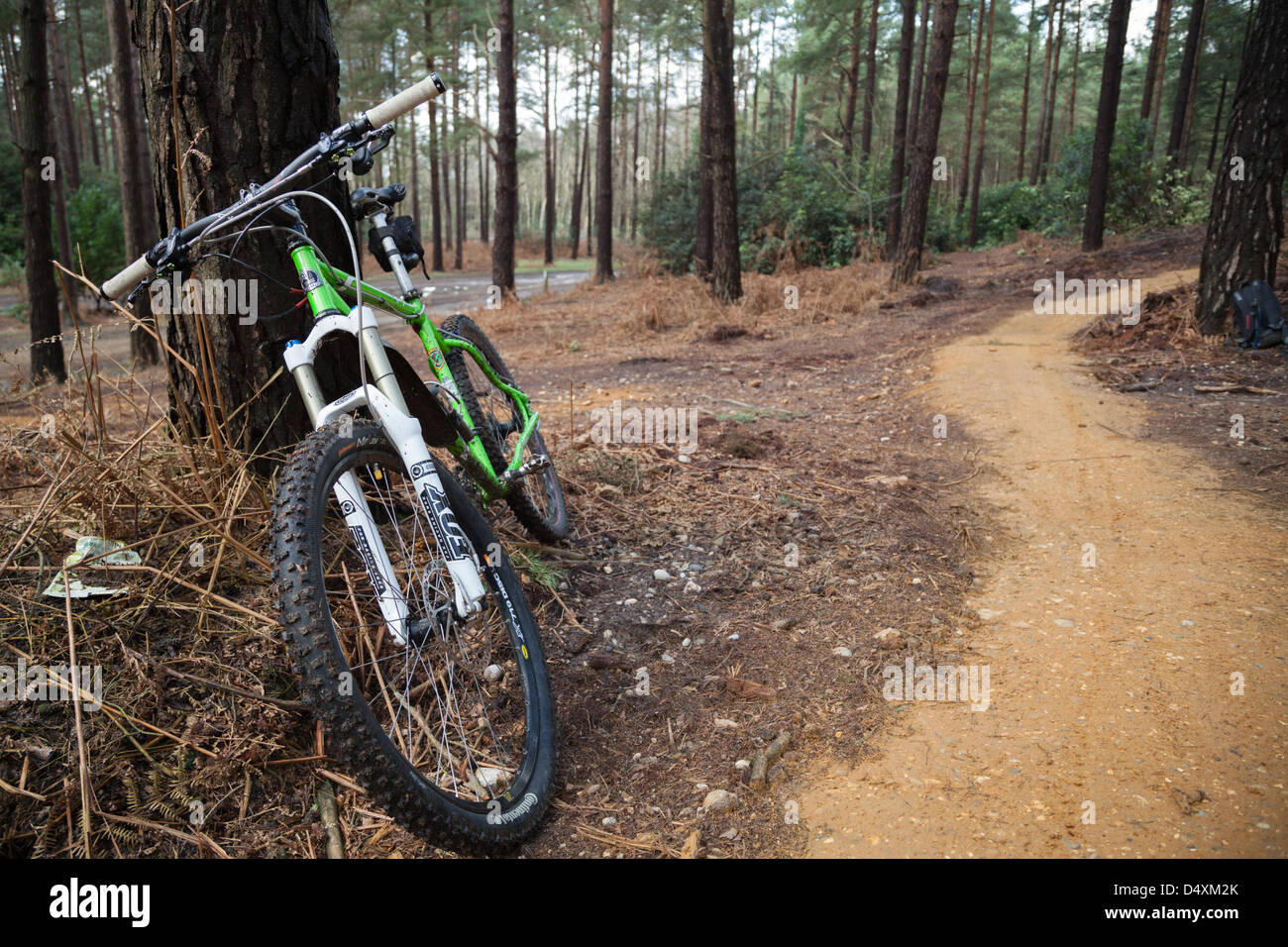 Mountainbiken im Phänomen Wald in der Nähe von Bracknell in Berkshire Stockfoto