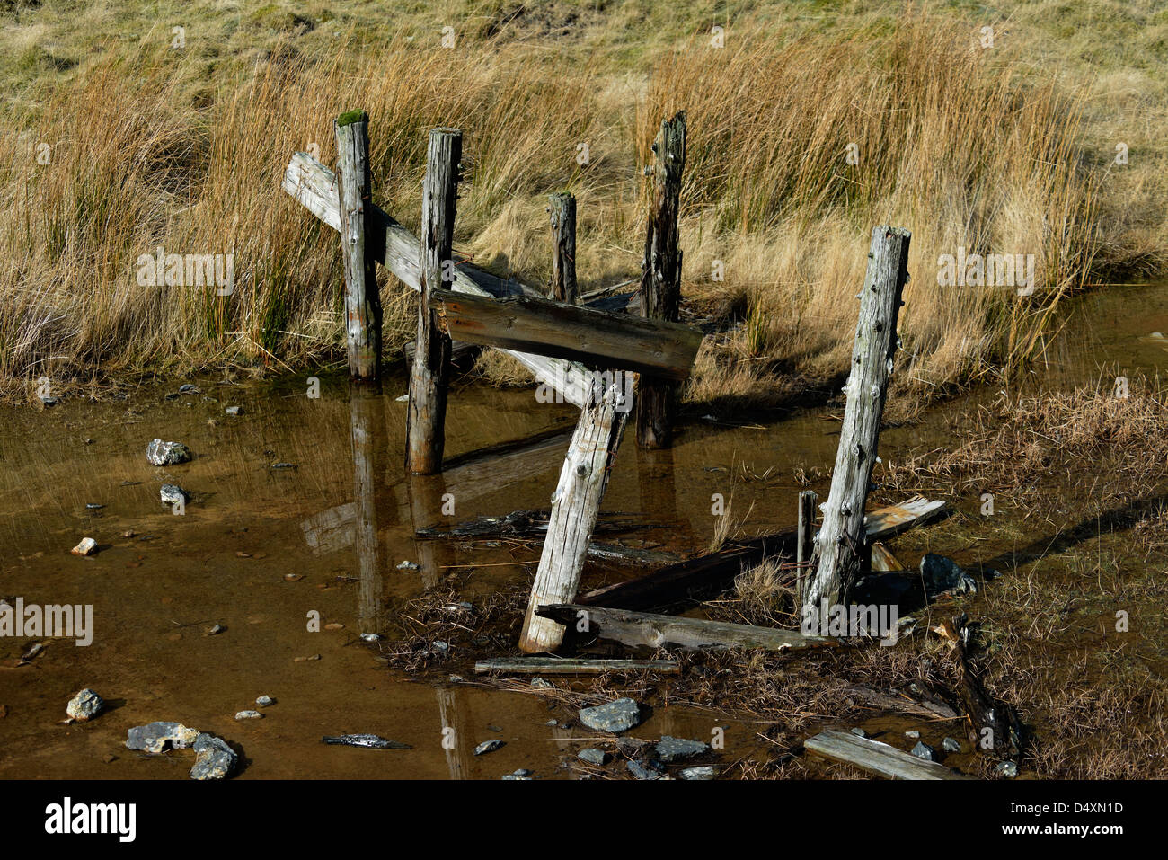 Industrielle Verunreinigungen, Holzpfähle. Crag Mine zu erzwingen. Coledale, Nationalpark Lake District, Cumbria, England, Vereinigtes Königreich. Stockfoto