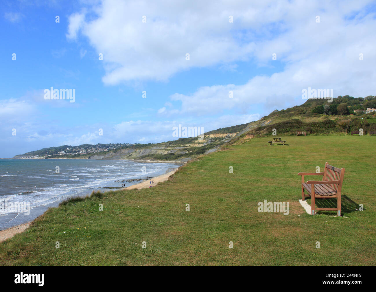 Der Strand von Charmouth, Dorset, England Stockfoto