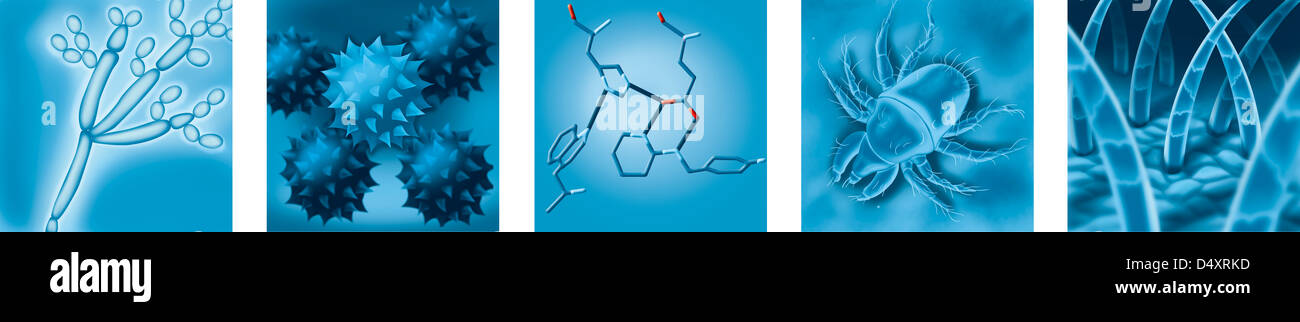 ALLERGEN, ZEICHNUNG Stockfoto