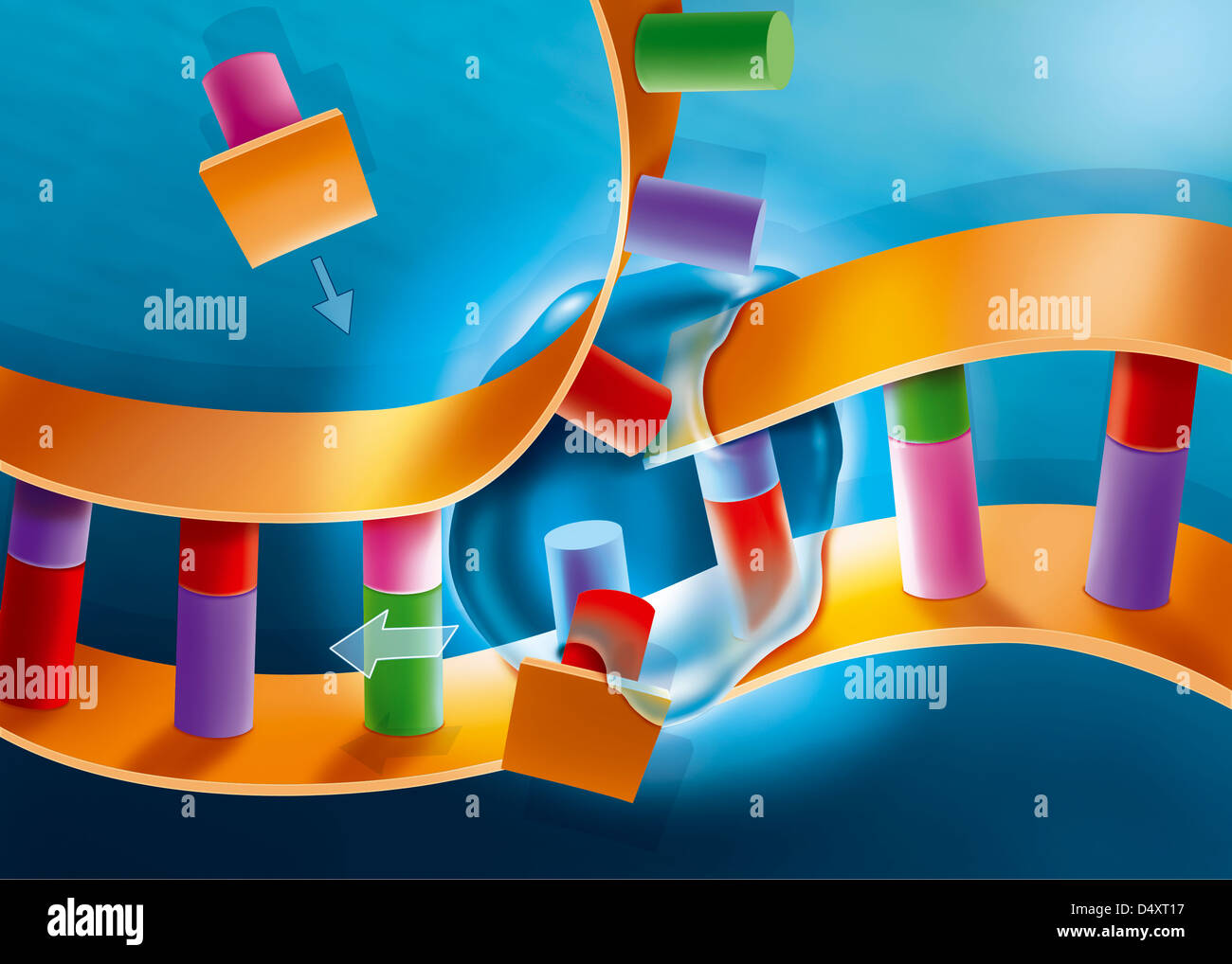 DNA-REPLIKATION Stockfoto