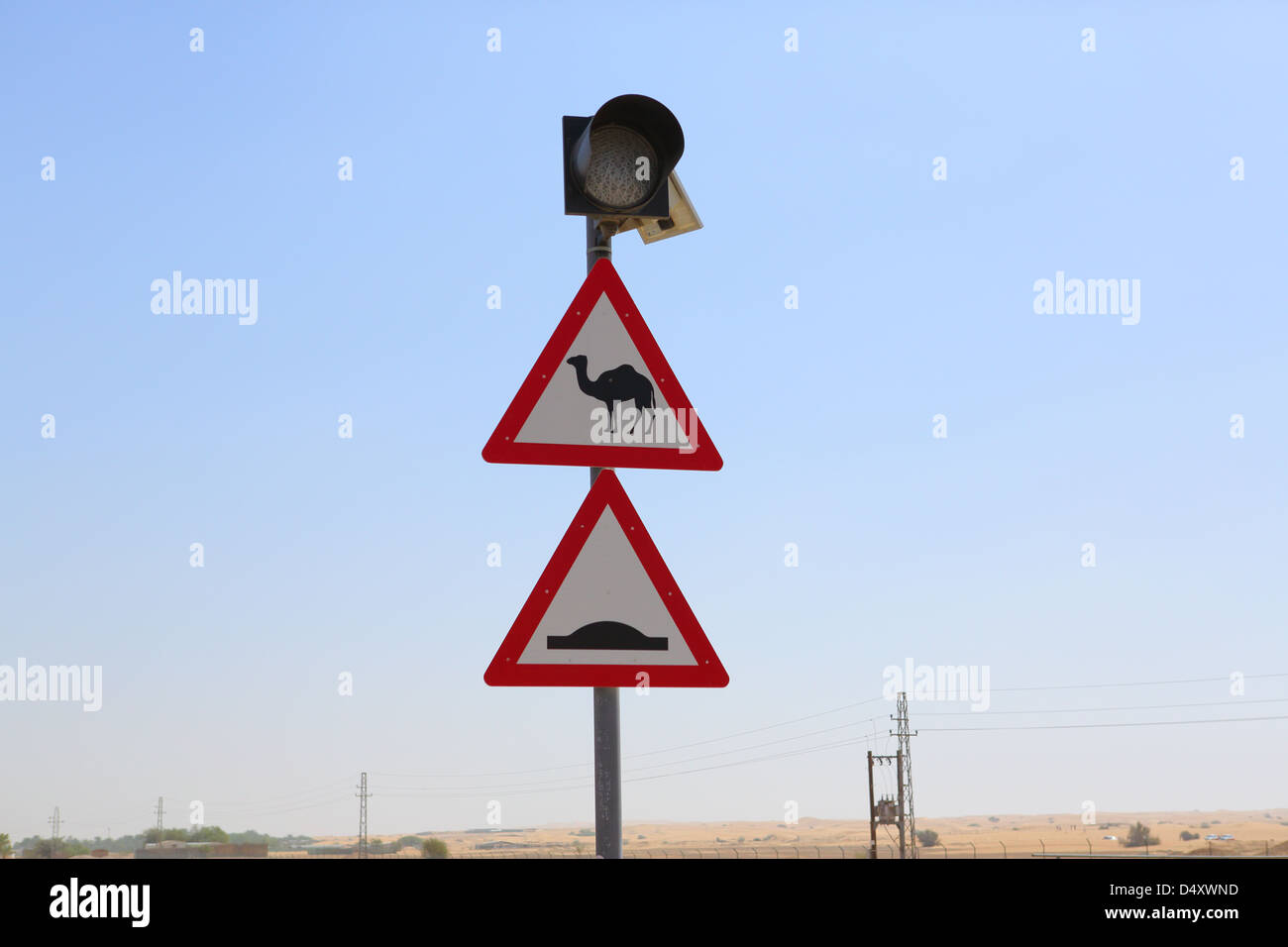 Kamel Kreuzung Zeichen, Dubai, Vereinigte Arabische Emirate Stockfoto
