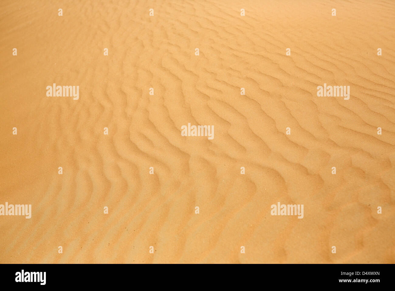 Die Arabische Wüste, Sand Detail, Dubai, Vereinigte Arabische Emirate Stockfoto