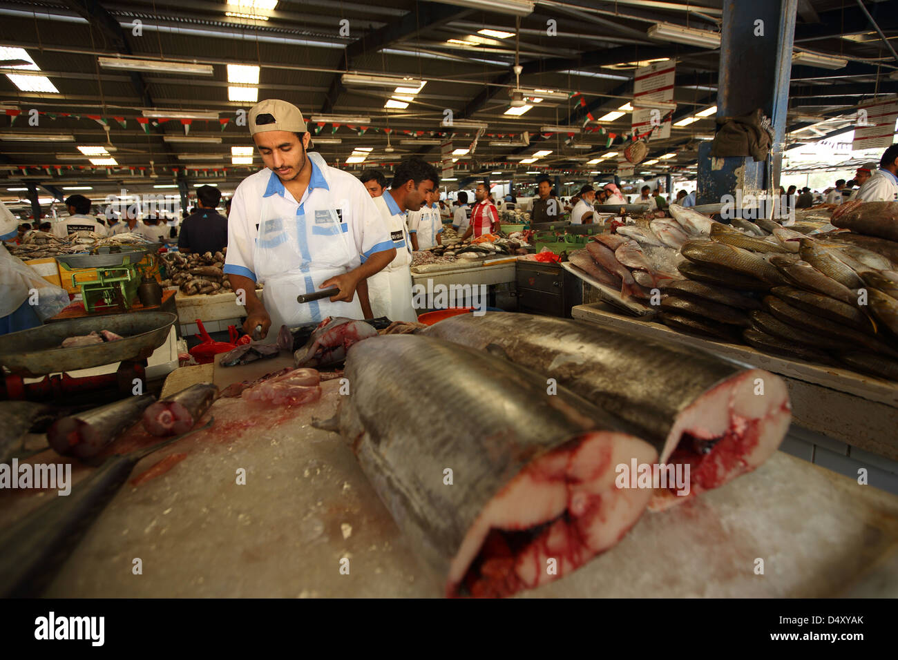 Fischmarkt, Dubai, Vereinigte Arabische Emirate Stockfoto