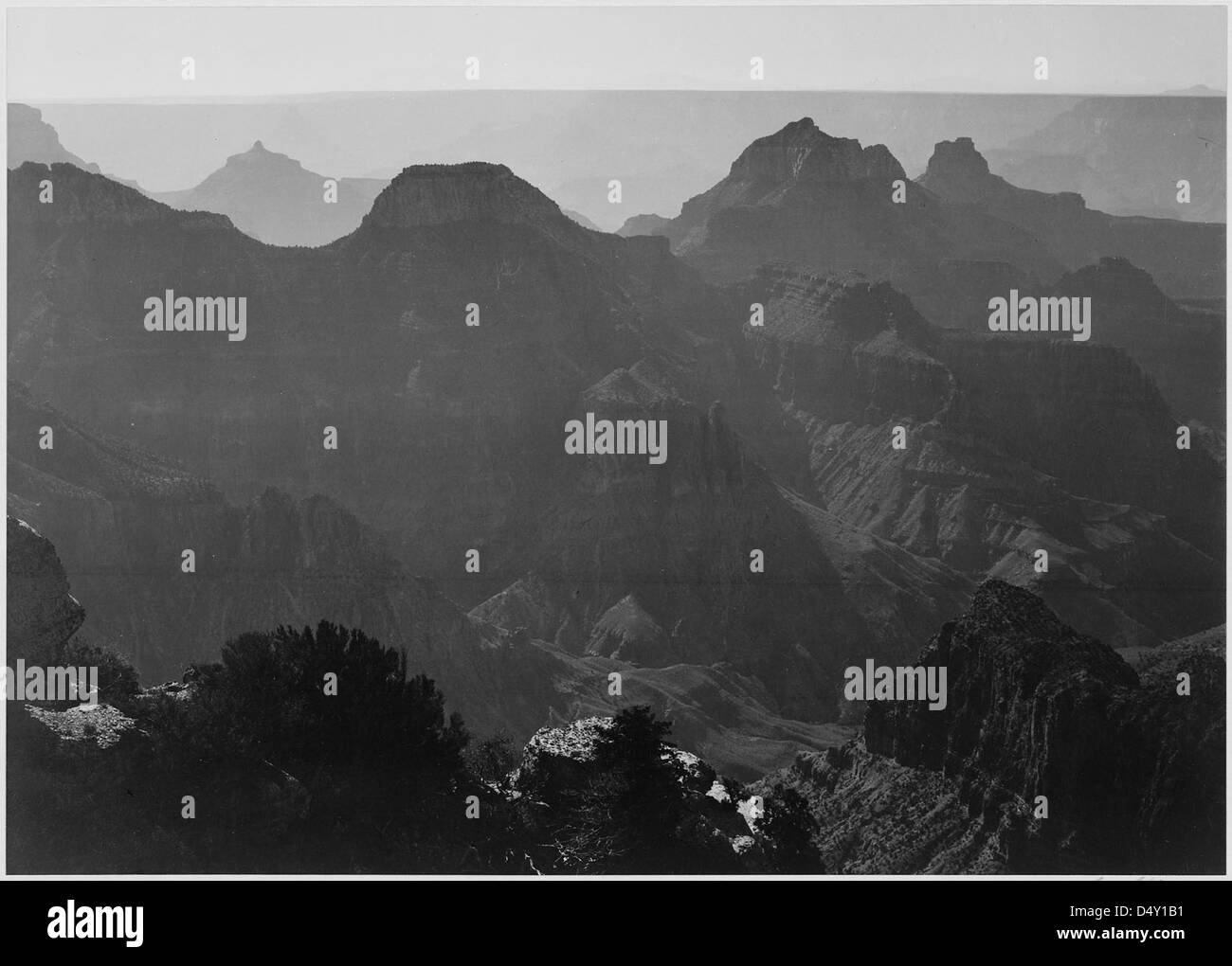 Ein Schwarzweiß-Foto von Ansel Adams, das einen detaillierten Blick auf den Grand Canyon National Park in Arizona zeigt. Das Bild zeigt Sträucher im Vordergrund, die die natürliche Schönheit des Parks und die Wüstenlandschaft betonen. Stockfoto