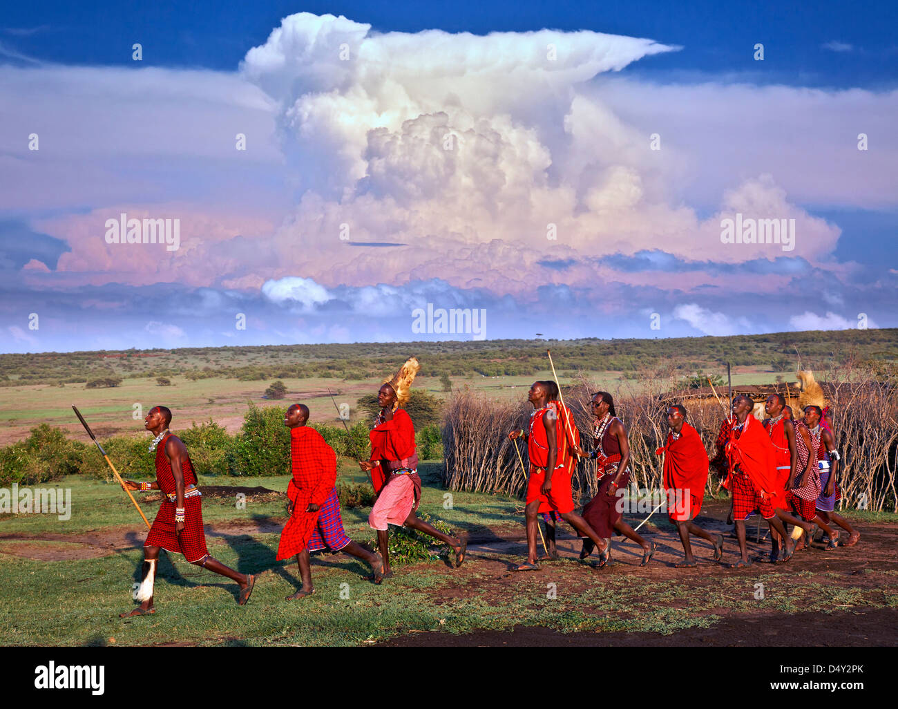 Massai-Krieger, Masai Mara, Kenia Stockfoto