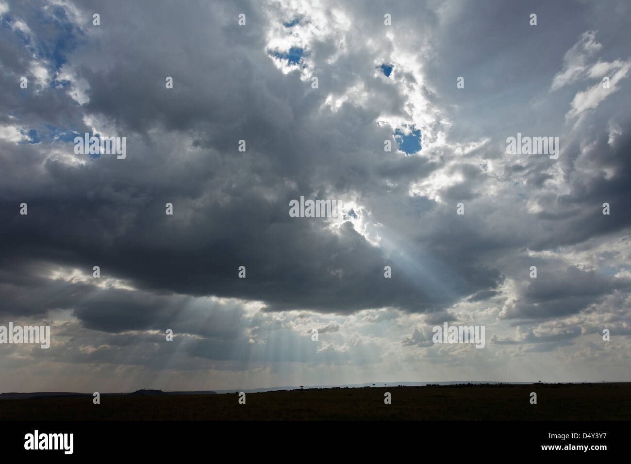 Lichtstrahlen, die durch Wolken, Masai Mara, Kenia Stockfoto