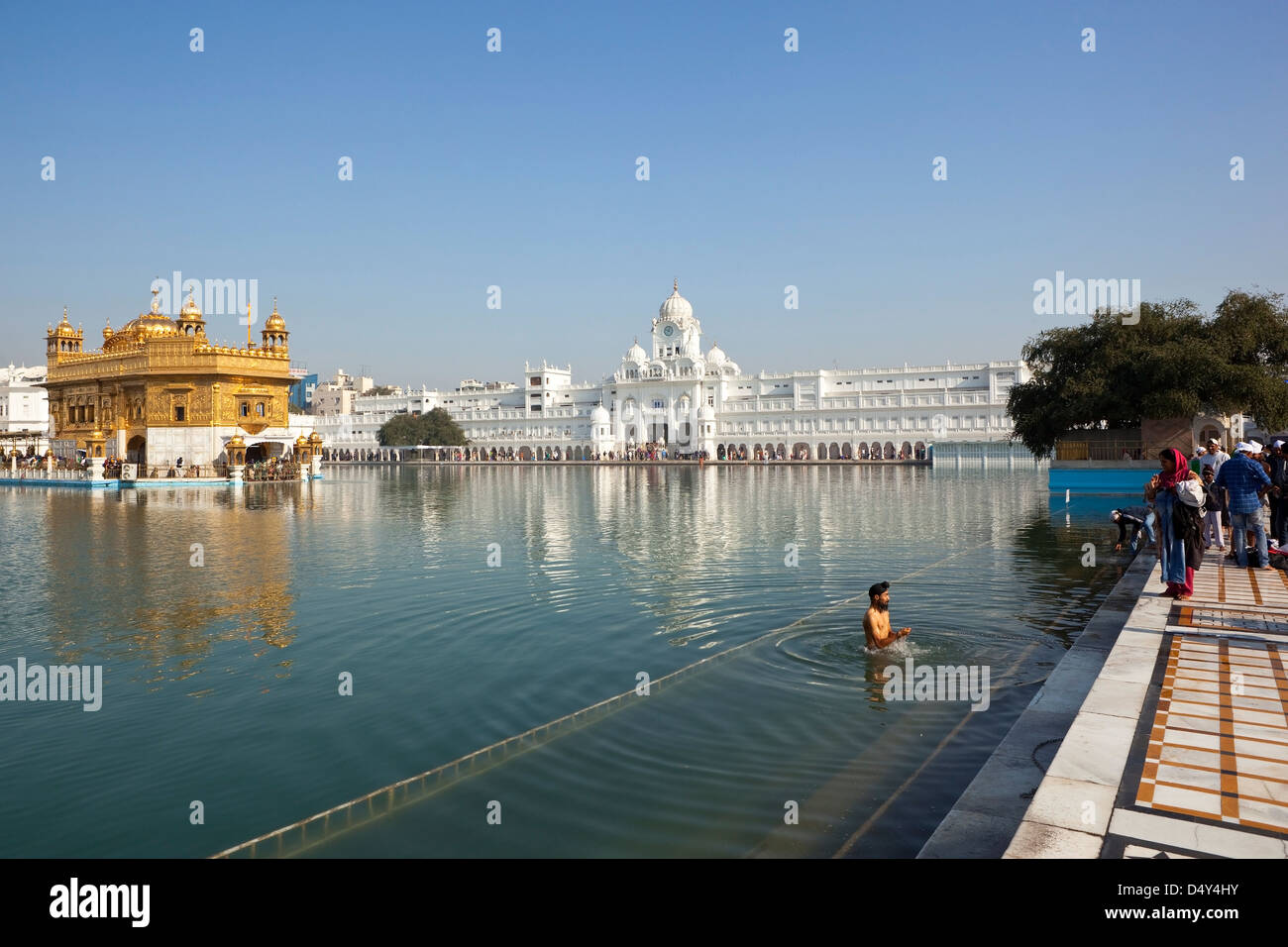Ein Sikh Anhänger Baden im heiligen Wasser des heiligen Pools an den herrlichen goldenen Tempel in Amritsar Punjab, Indien Stockfoto