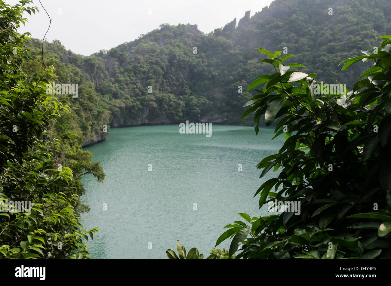 Kho Ko Ma Insel in Moh Ang Tong Nationalpark mit Sweetwater See. Smaragdgrünen See. Stockfoto