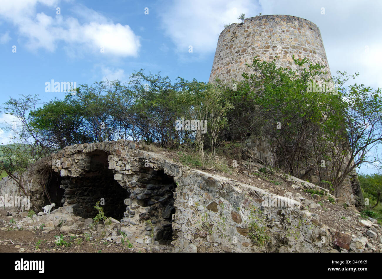 Ruinen einer alten Zuckermühle am Watcho Beach, St. Croix, Amerikanische Jungferninseln. Stockfoto