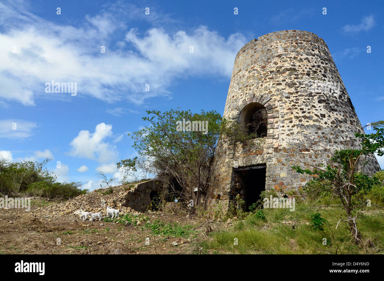 Ruinen einer alten Zuckermühle am Watcho Beach, St. Croix, Amerikanische Jungferninseln. Stockfoto