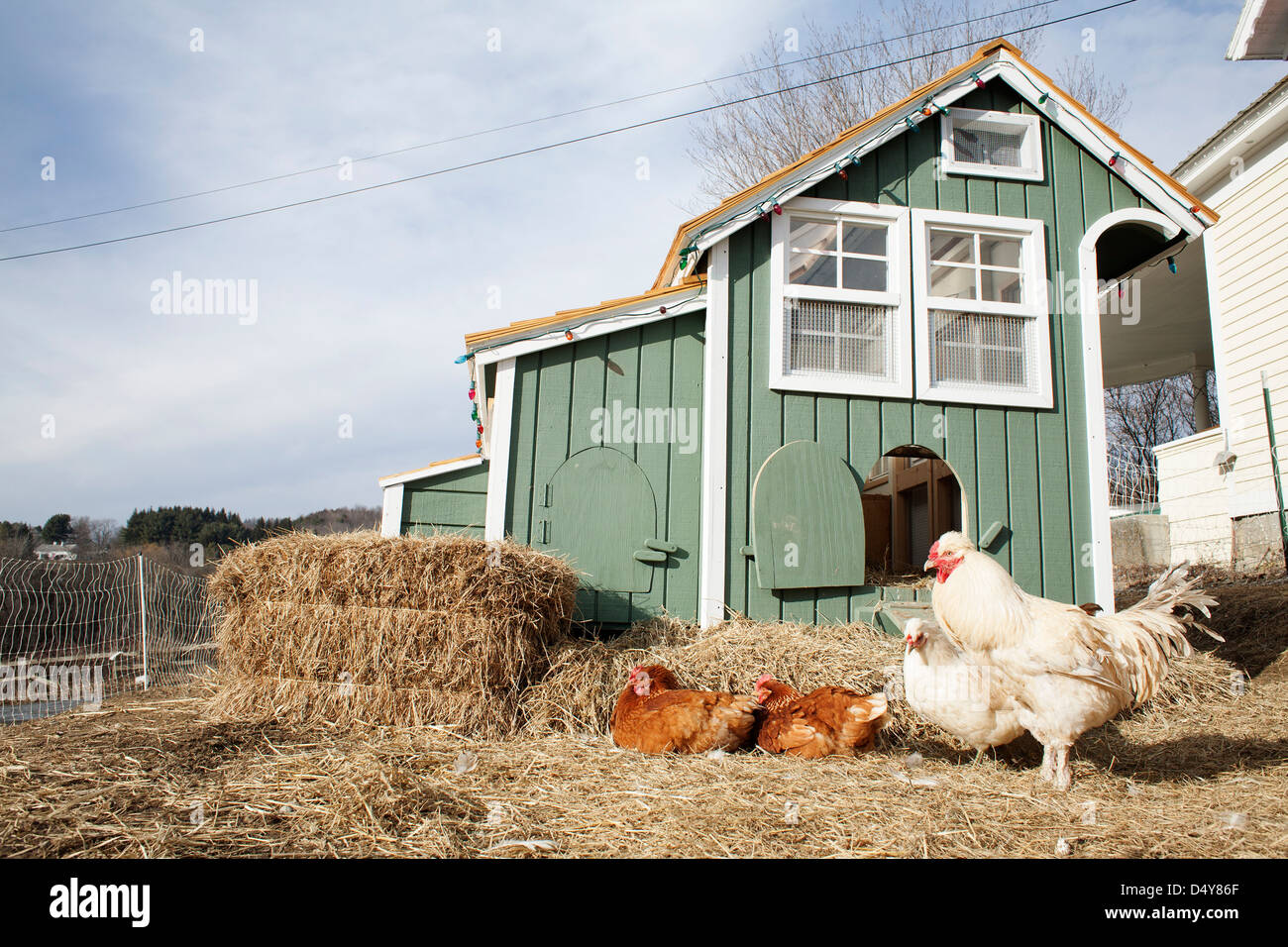 Vermont CSA Hof mit Hühnern im zeitigen Frühjahr mit beweglichen Hühnerstall. Stockfoto