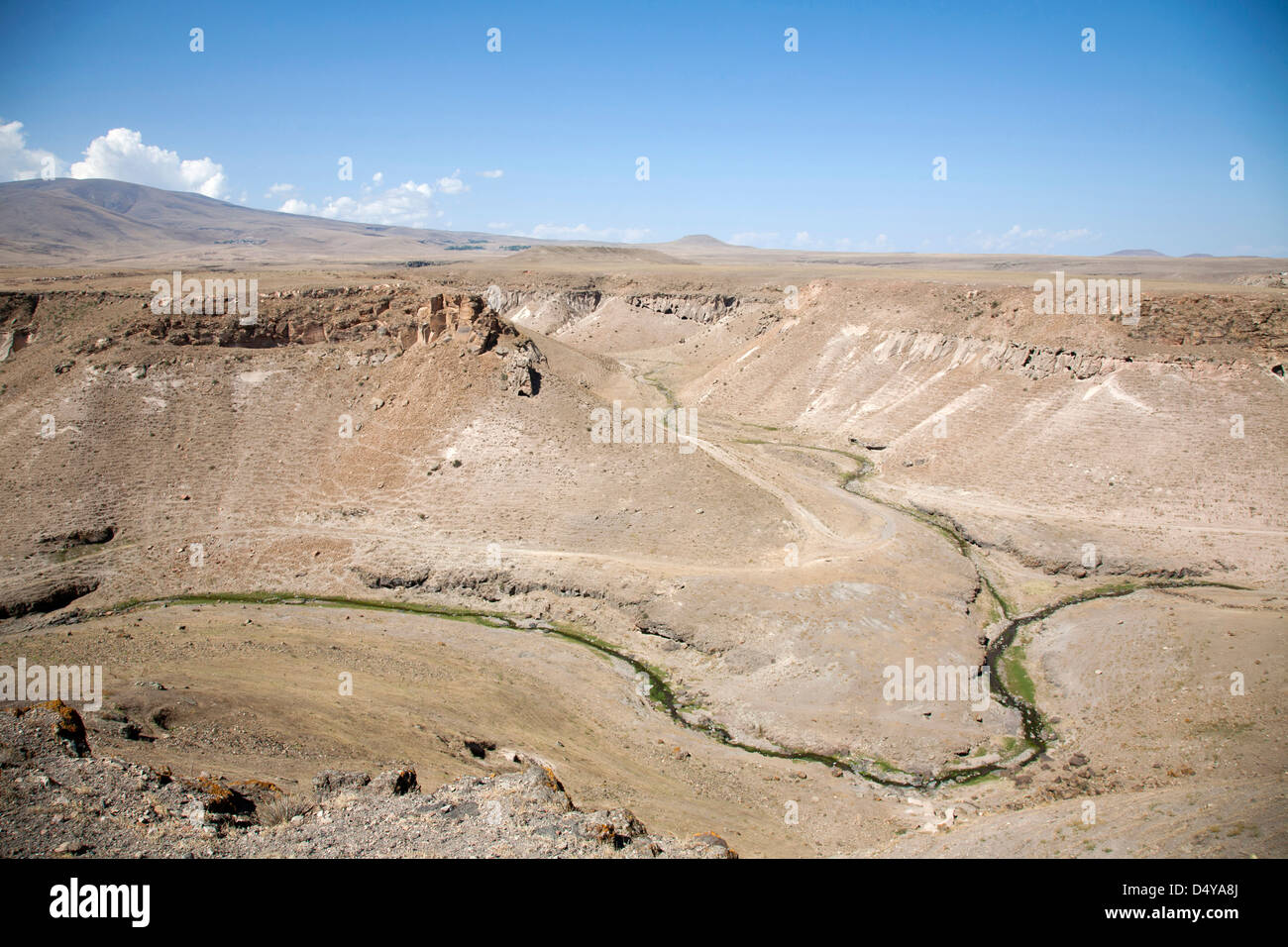 Landschaft von Ani Ruinen, Kars Region Nord-Ost-Anatolien, Türkei, Asien Stockfoto