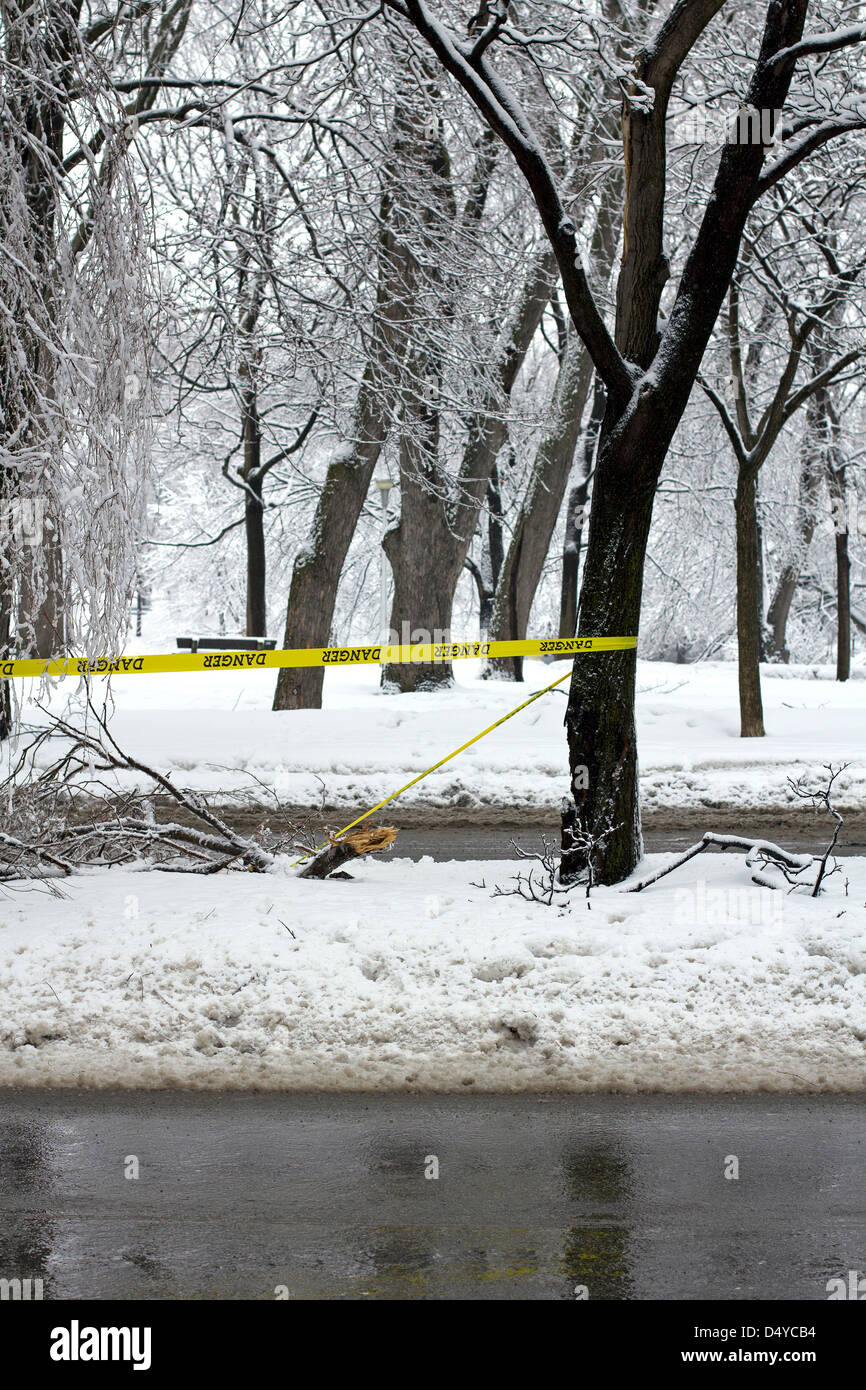 Winter-Stadtpark Stockfoto