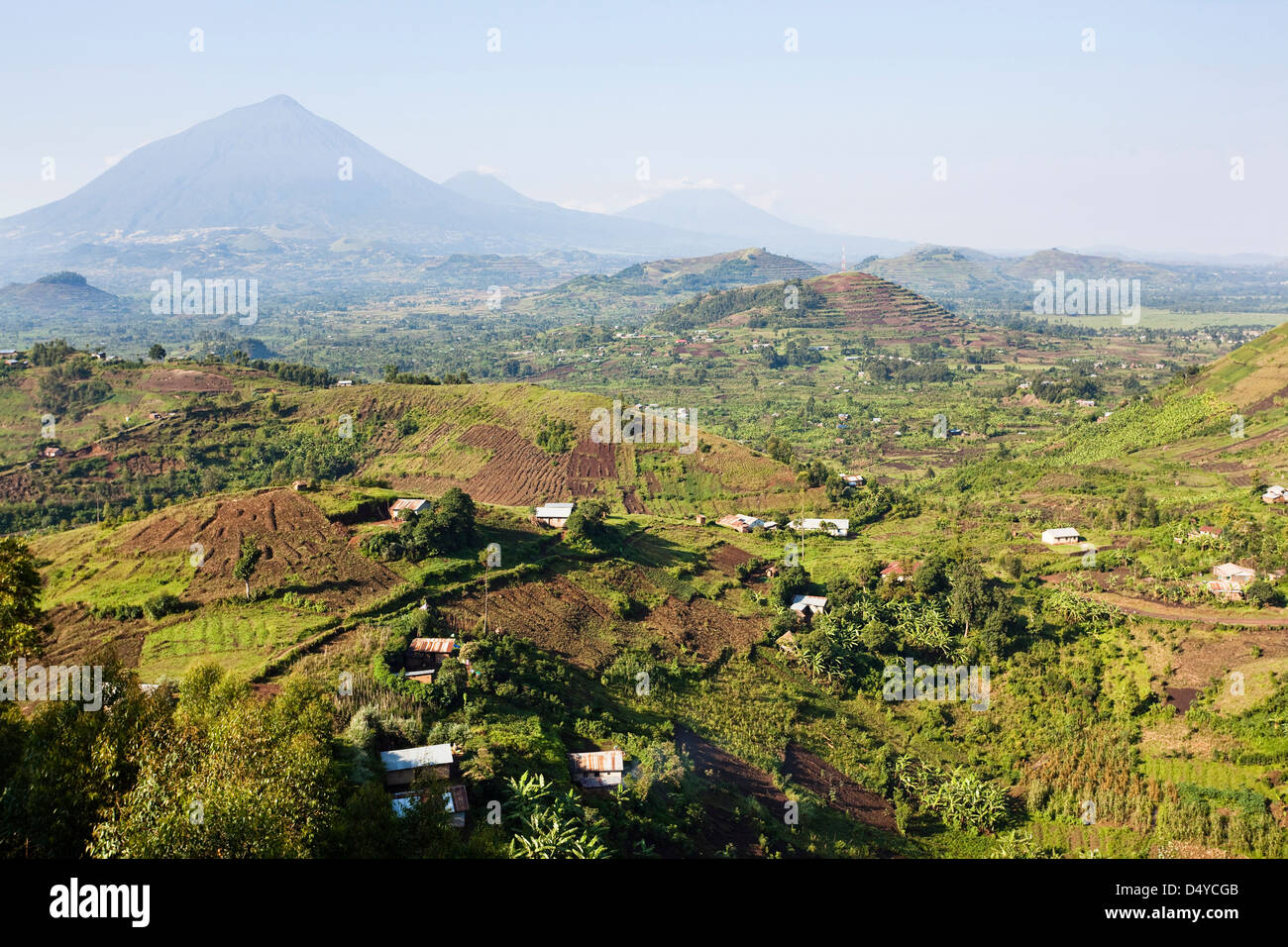 Landschaften rund um Kisoro, Kigezi. Hintergrund: Virunga Vulkane; Mgahinga-Gorilla-Nationalpark. Stockfoto