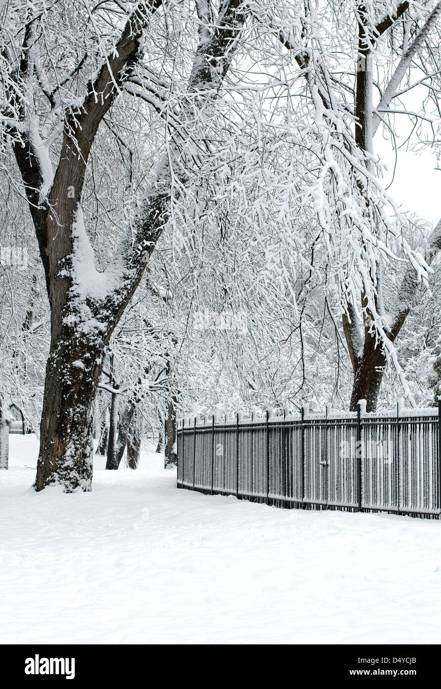 Winter-Stadtpark Stockfoto