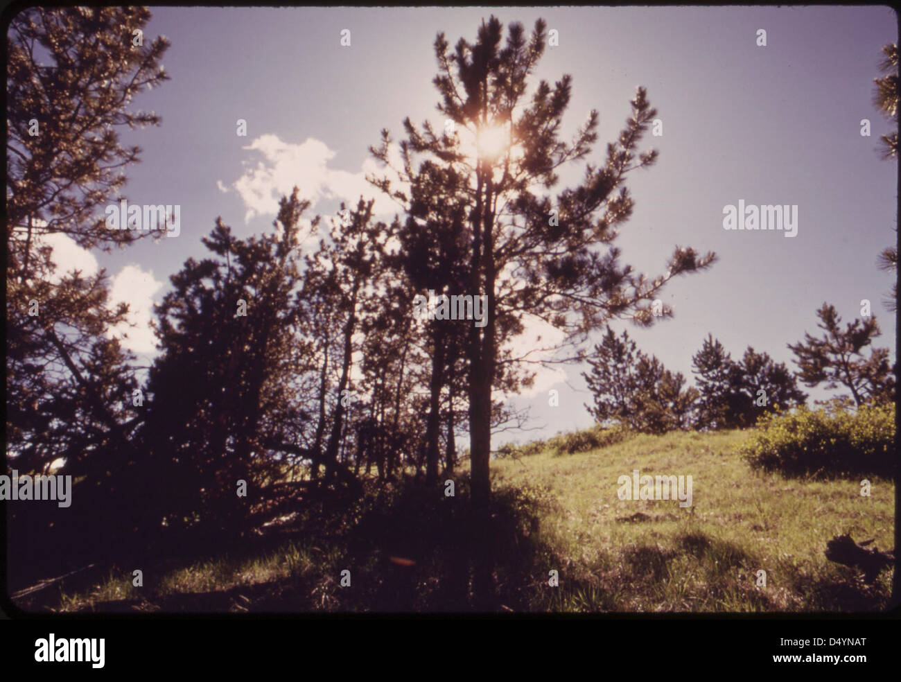 Dieses Land, das neben der Westmoreland Coal Company Strip Mine liegt