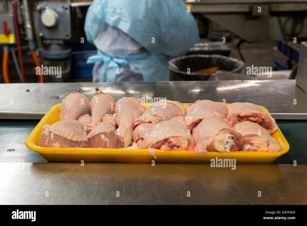 Arbeiter bereiten Hühnerschlachtkörpern auf der Linie in einer Aufbereitungsanlage in Delaware, USA am 1. März 2013. Stockfoto