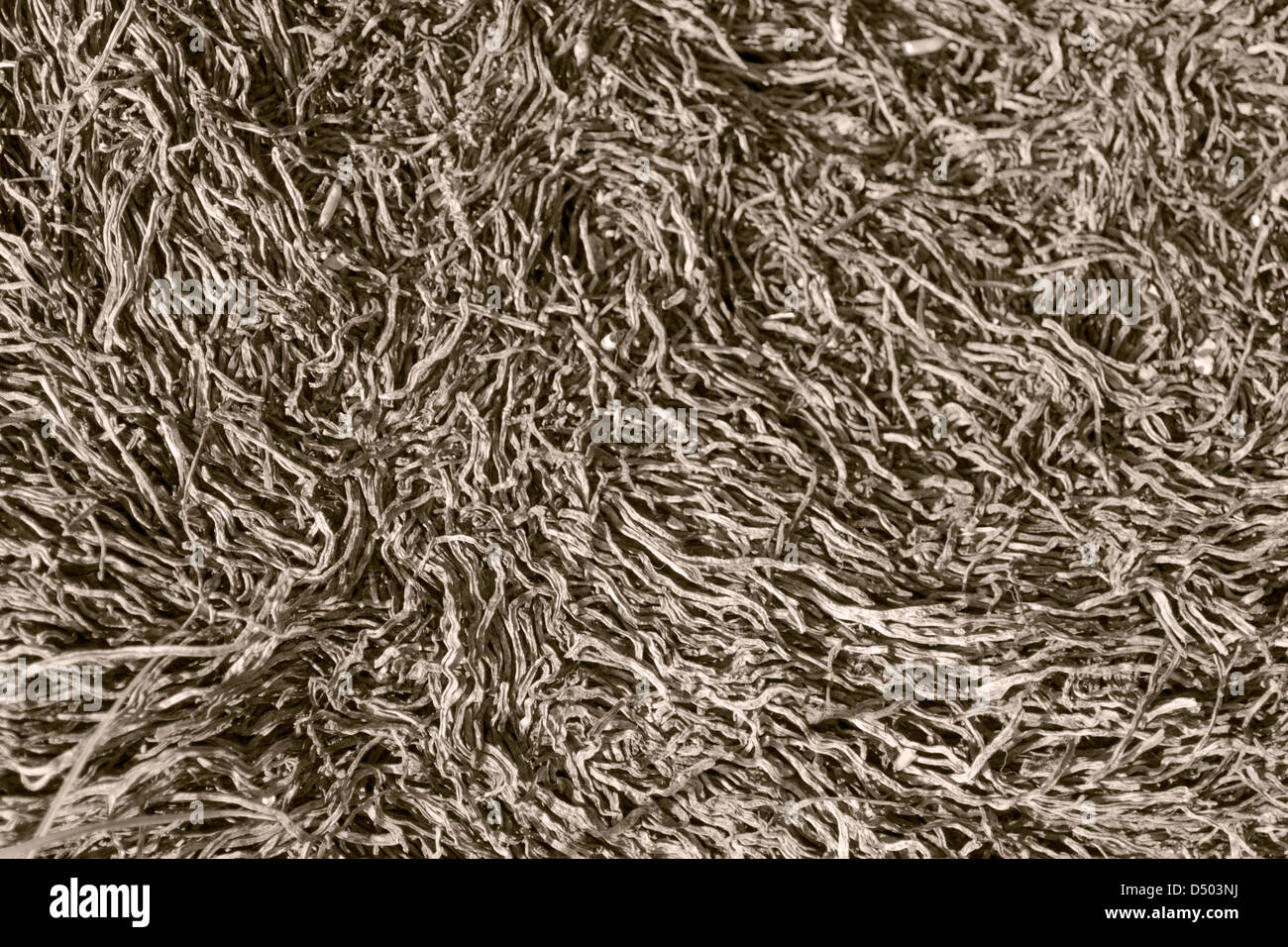 Full-Frame-abstrakten Detail des trockenen braunen lockigen stipes Stockfoto