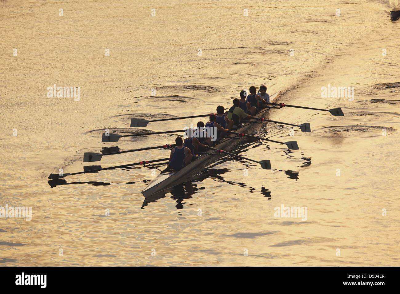 Boot Segeln in Sydney, Australien Stockfoto