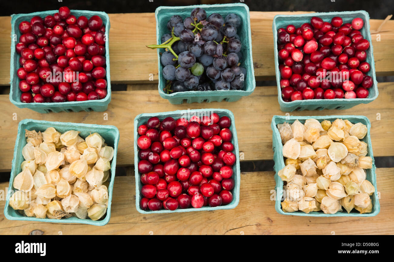 Kleine Körbe mit Preiselbeeren, Trauben und Schale Tomaten auf einem Bauernmarkt Stockfoto