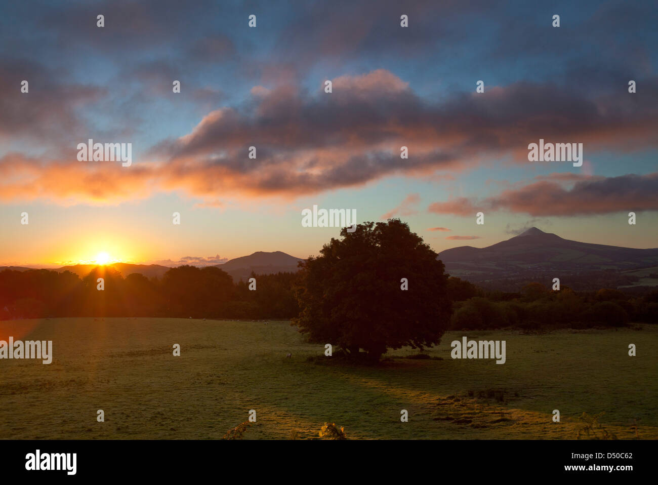 Über große Zuckerhut von Powerscourt Estate, County Wicklow, Irland Dawn. Stockfoto