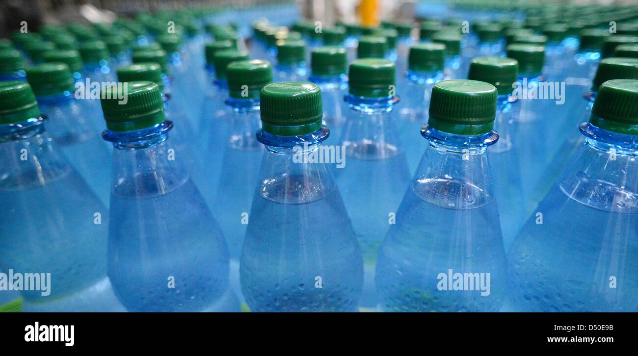 Flaschen sind voll Mineralwasser bei der Abfüllung in Thueringer Waldquell Mineralwasser in Schmalkalden, Deutschland, 21. März 2013. In diesem Jahr erwartet das Unternehmen eine Steigerung von zwei Prozent Umsatzplus. Foto: MARTIN SCHUTT Stockfoto