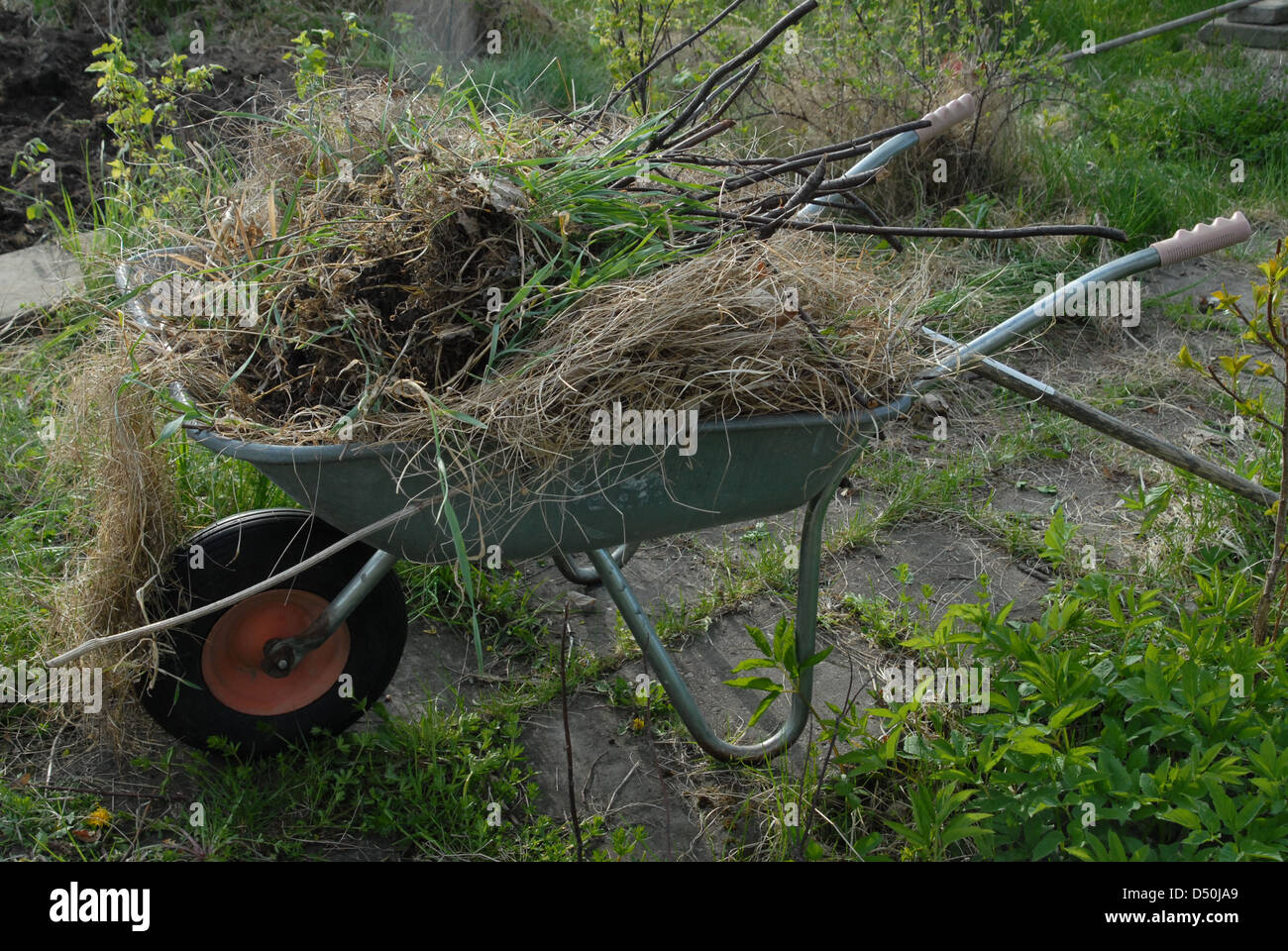 Schubkarre gefüllt mit grünen Gartenabfälle. Stockfoto