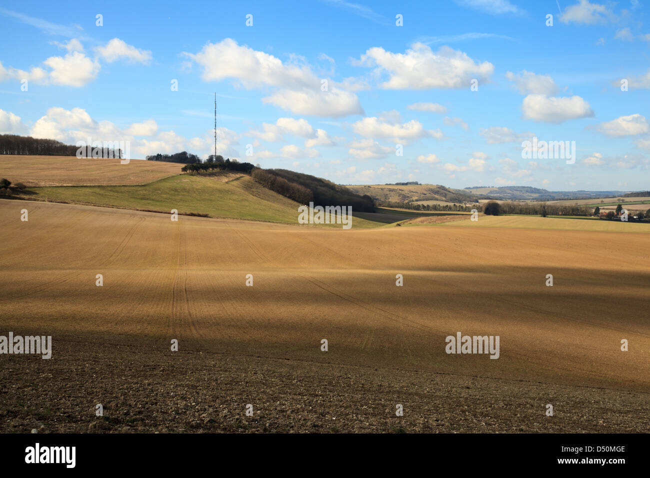 Ein Blick auf Cottingtons Hill TV Mast in der Nähe von Kingsclere in Hampshire Stockfoto