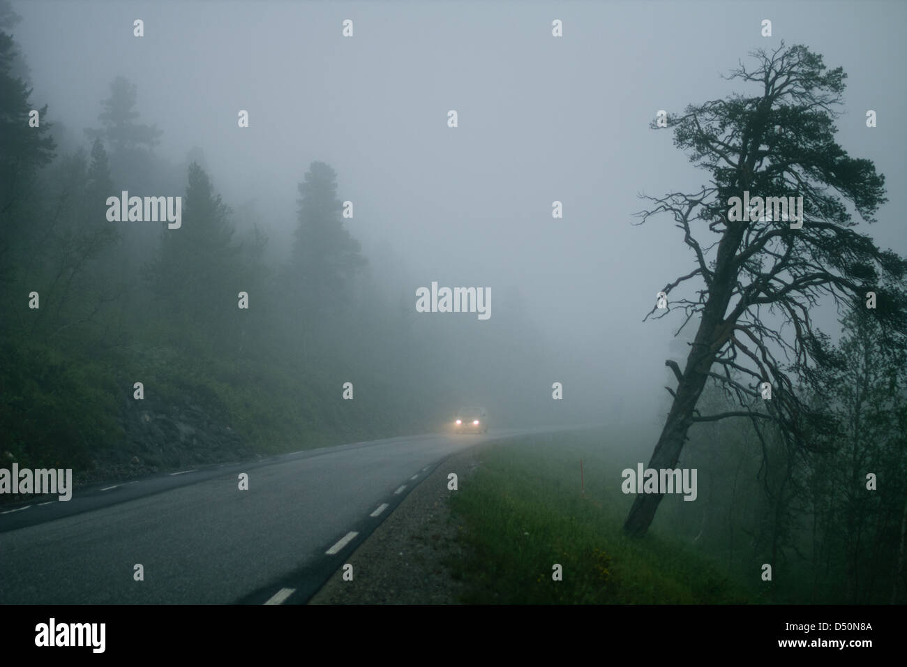 Straße im Nebel. Norwegen Stockfoto