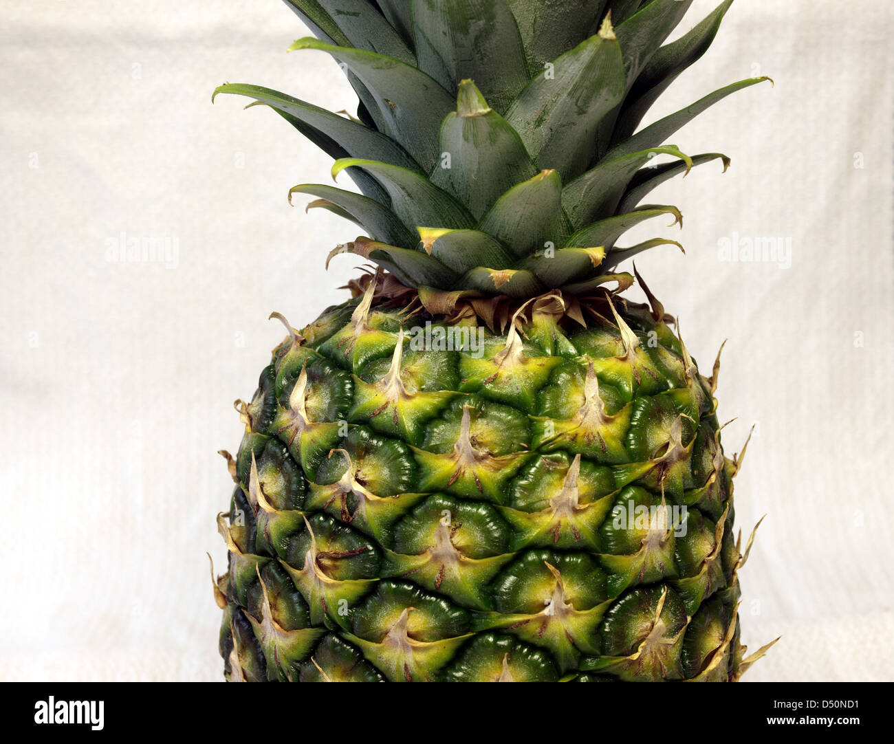 Fruchtige Ananas Stockfoto