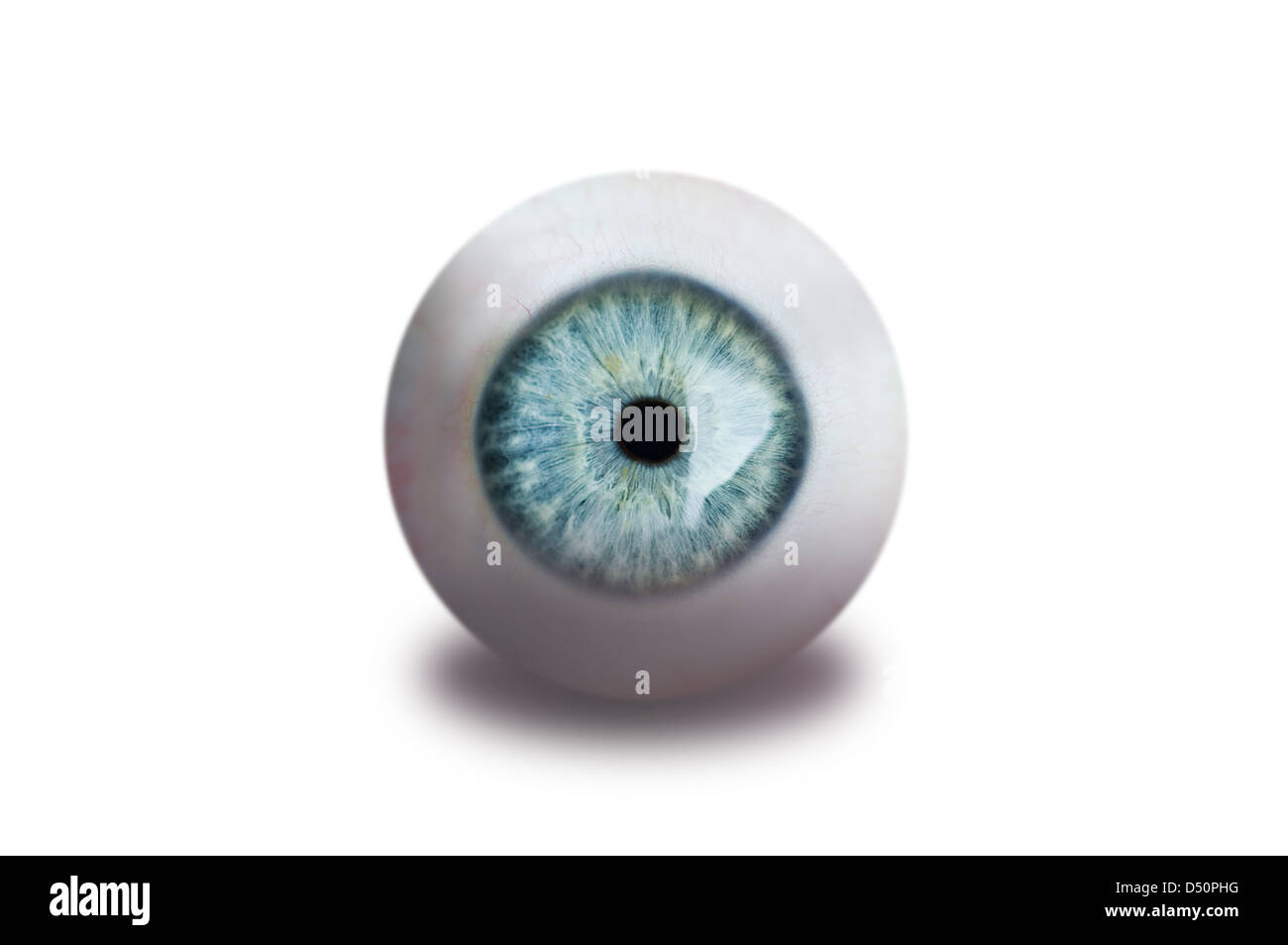 menschliche Auge isoliert auf weiss Stockfoto