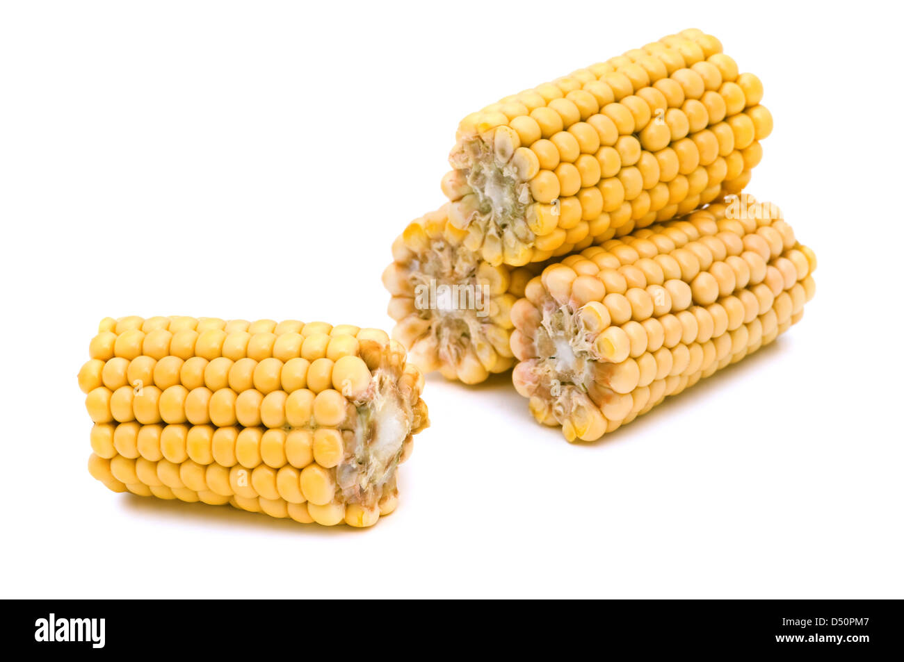 Mais, isoliert auf weißem Hintergrund Stockfoto