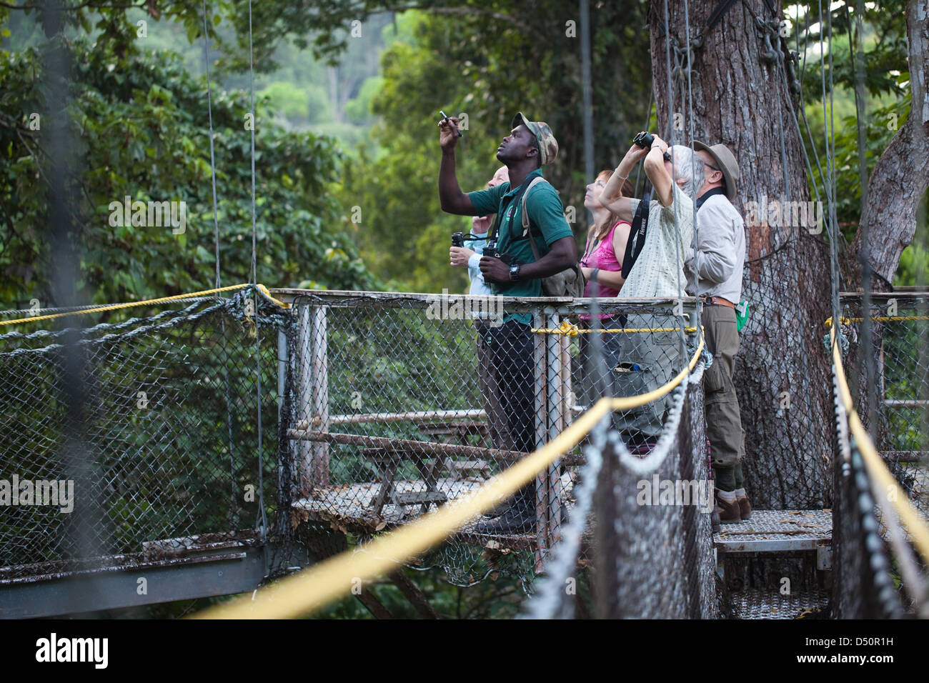 Iwokrama Canopy Walkway und Ökotouristen Vogelbeobachtung mit einem lokalen Führer. Plattform und verbindet geschlungen überbrücken. Guyana. Stockfoto