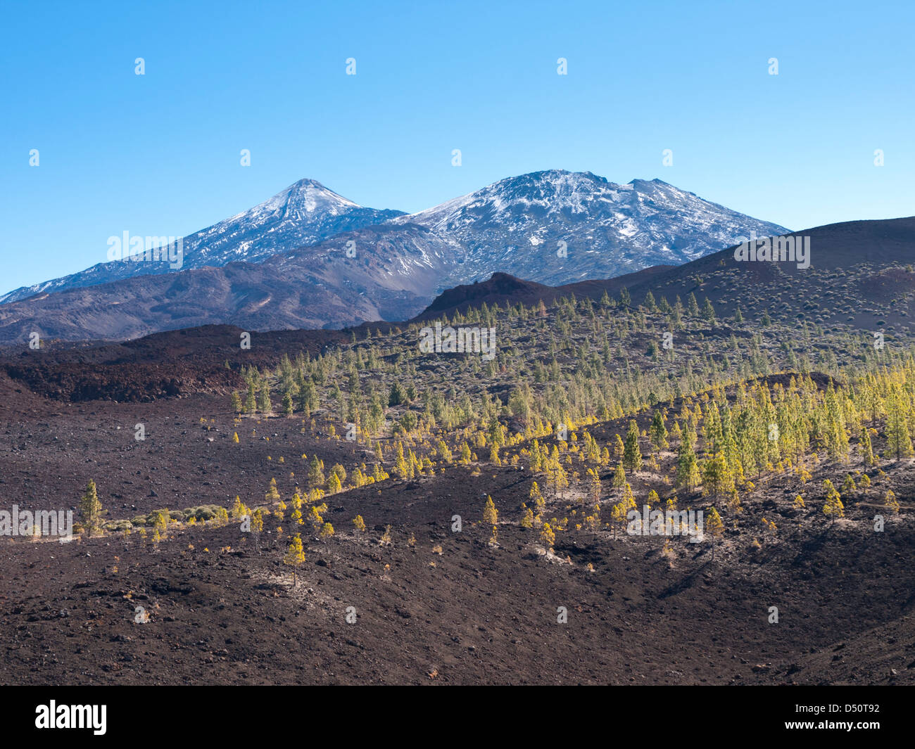 Teide, Pico Viejo und Montana Reventada Vulkane im Gange auf gesehen gehen 13 Samara im Teide Nationalpark auf Teneriffa Stockfoto