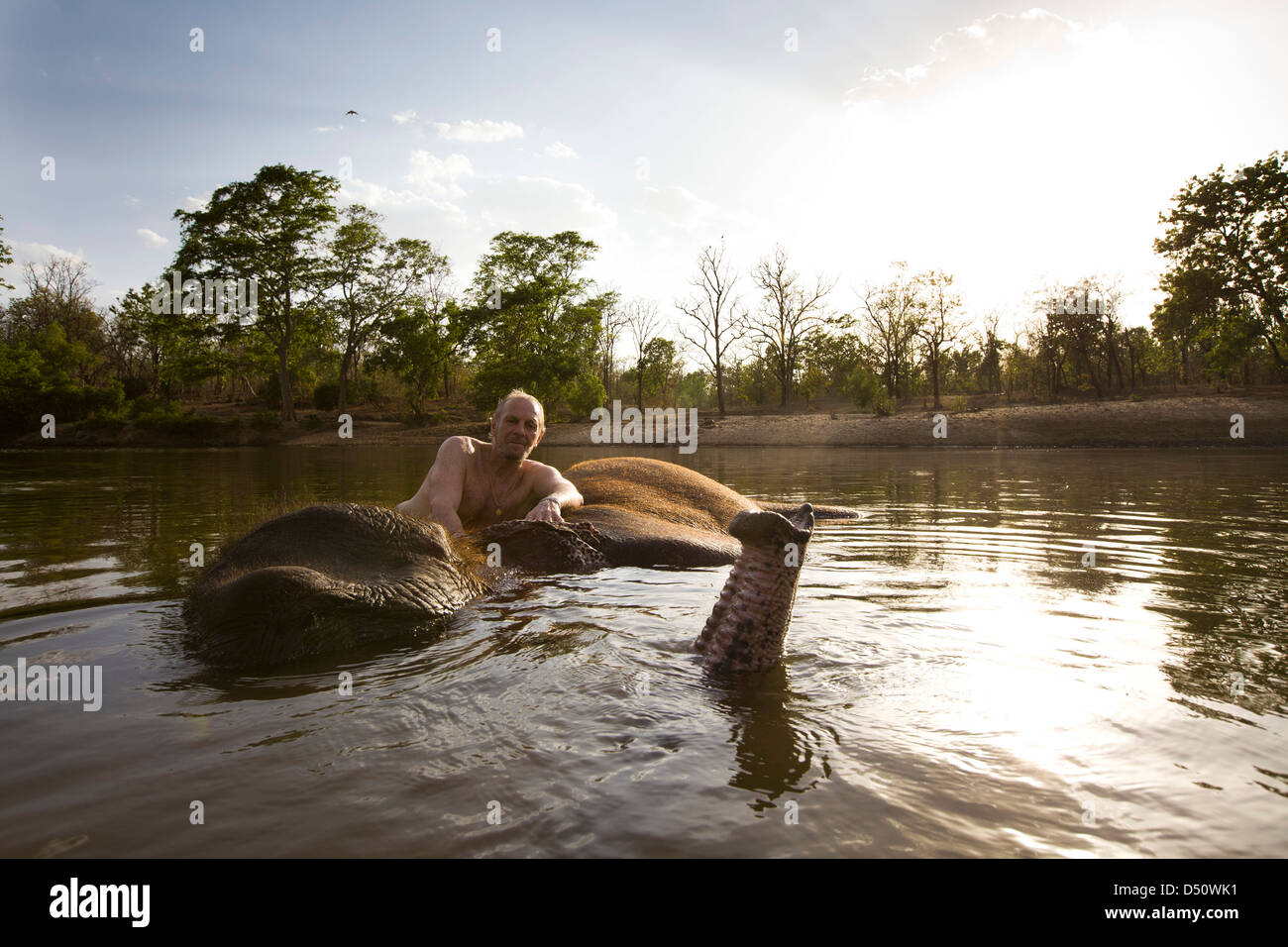Britischer Reiseschriftsteller und Naturschützer Mark Shand schwimmt mit "Tara" seinen indischen Elefanten, Madhya Pradesh, Indien. Stockfoto