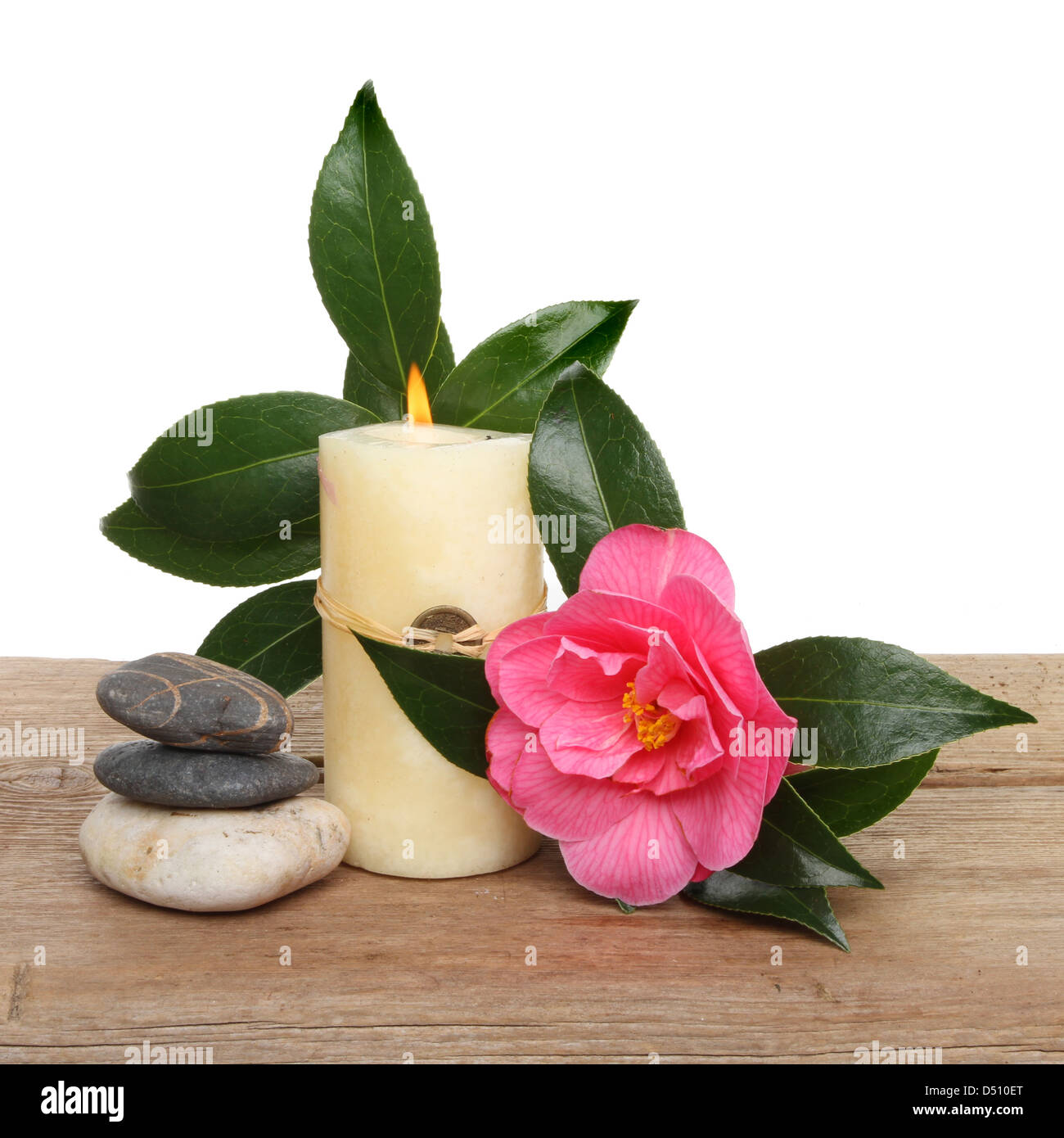 Brennende Kerze mit Steinen und einer Kamelie auf einem Holzbrett Stockfoto