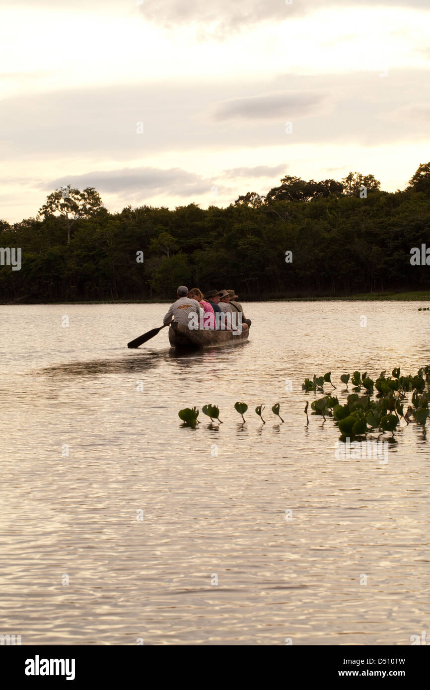Öko-Touristen mit einem lokalen indianischen Führer paddeln in einem Einbaum-Kanu um einen Ox-Bow See abweichend von dem Fluss Rewa-Guyana Stockfoto
