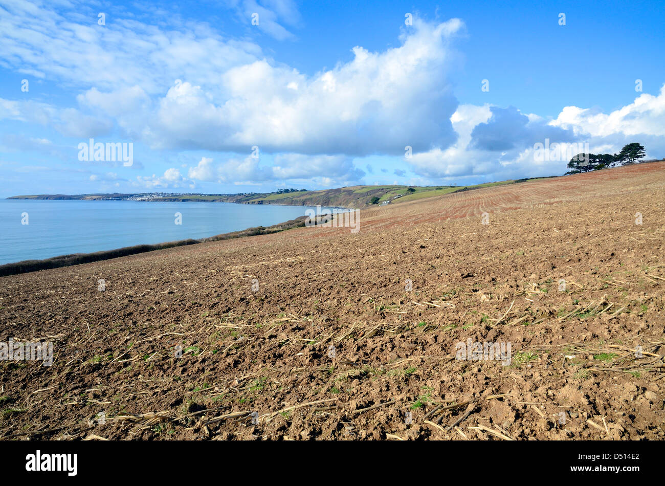 Coastal Ackerland auf der Roseland Halbinsel in Cornwall, Großbritannien Stockfoto