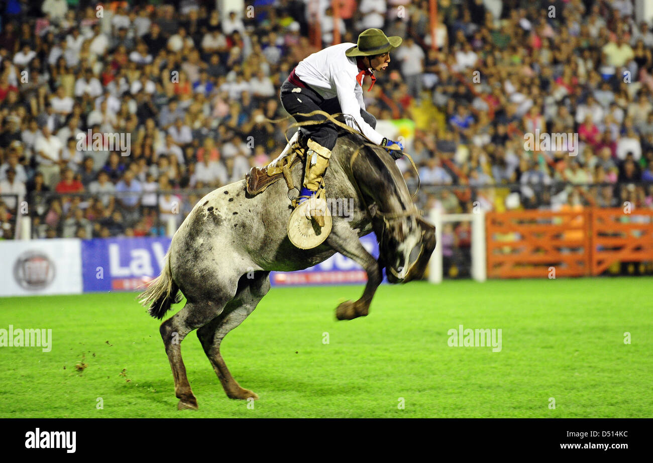 Jesus Maria, Argentinien, Fahrer versucht auf einem Ruckeln Pferdehaltung Stockfoto