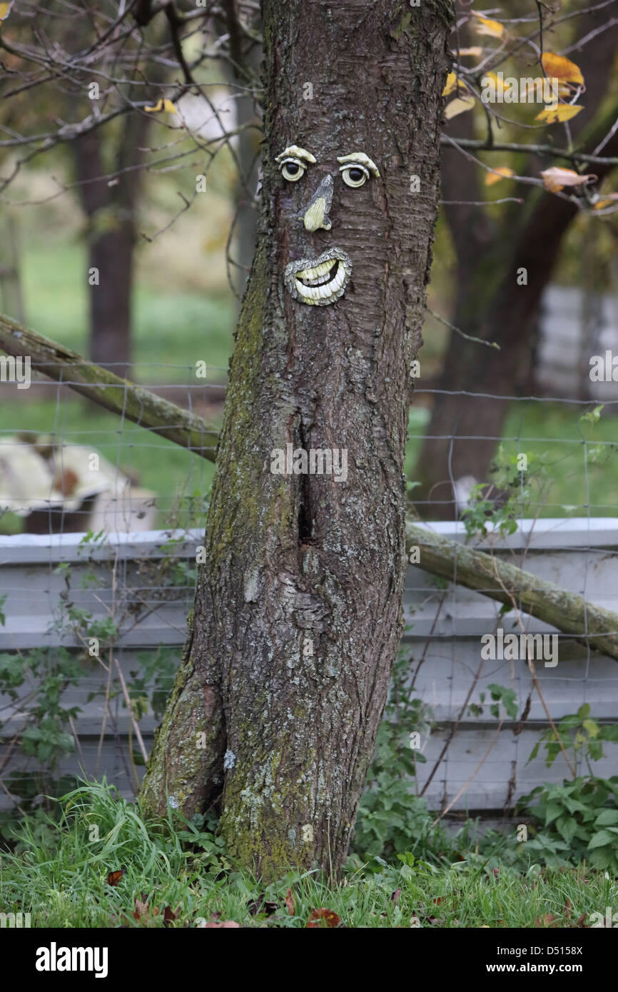 Neues Gesicht der Kätwin, Deutschland, an einem Baumstamm Stockfoto