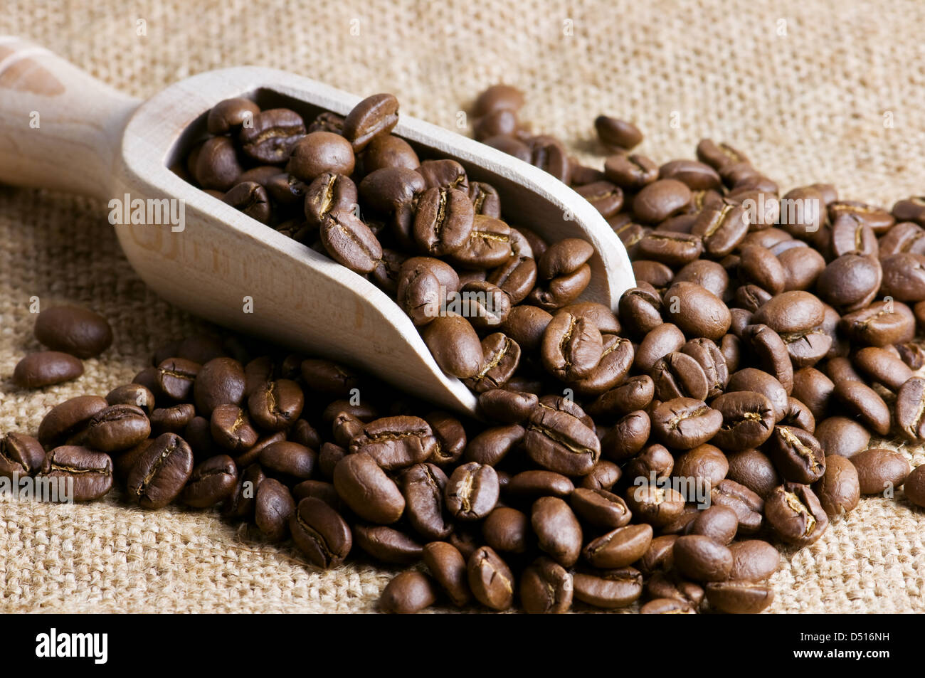 geröstete Kaffeebohne hautnah Stockfoto