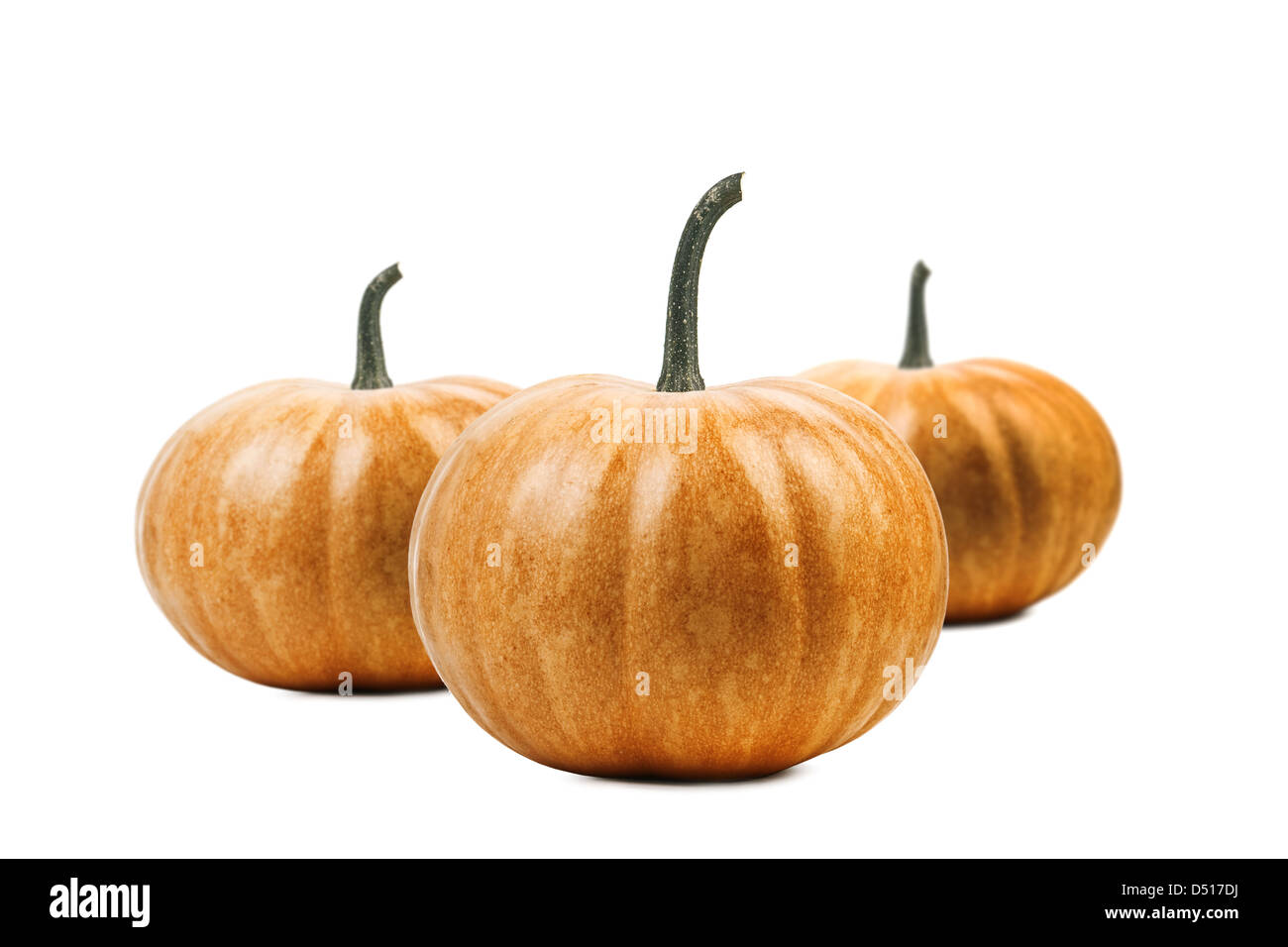 Kürbis, isoliert auf weiss Stockfoto