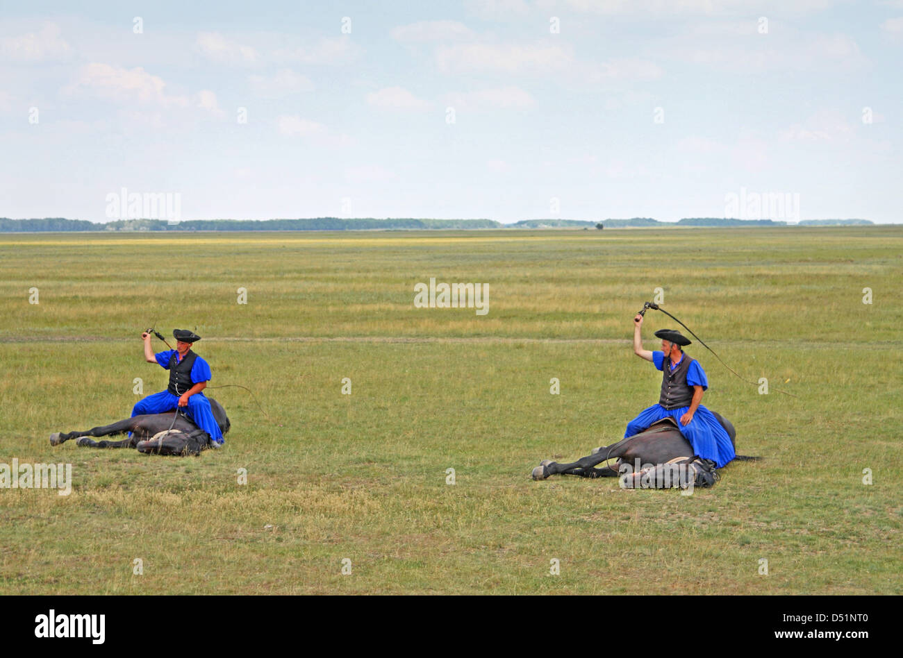 Ausstellung der Reiterei von Gulyas (traditionelle Hirten / Cowboys) auf ungarischen Pferden. Nationalpark Hortobágy, Ungarn Stockfoto