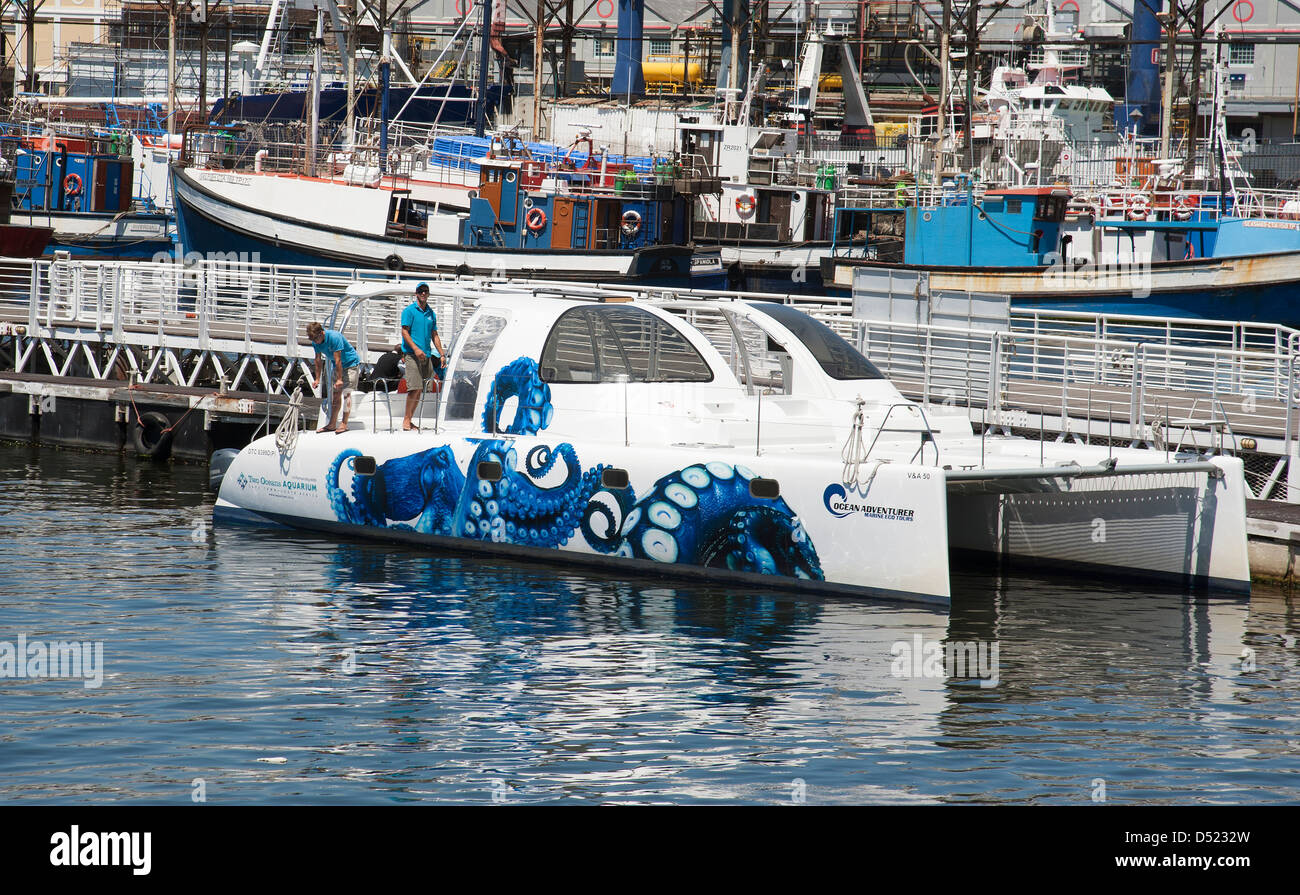 Ozean Abenteurer marine Eco Touren Katamaran aus zwei Ozeane Aquarium Cape Town South Africa Stockfoto