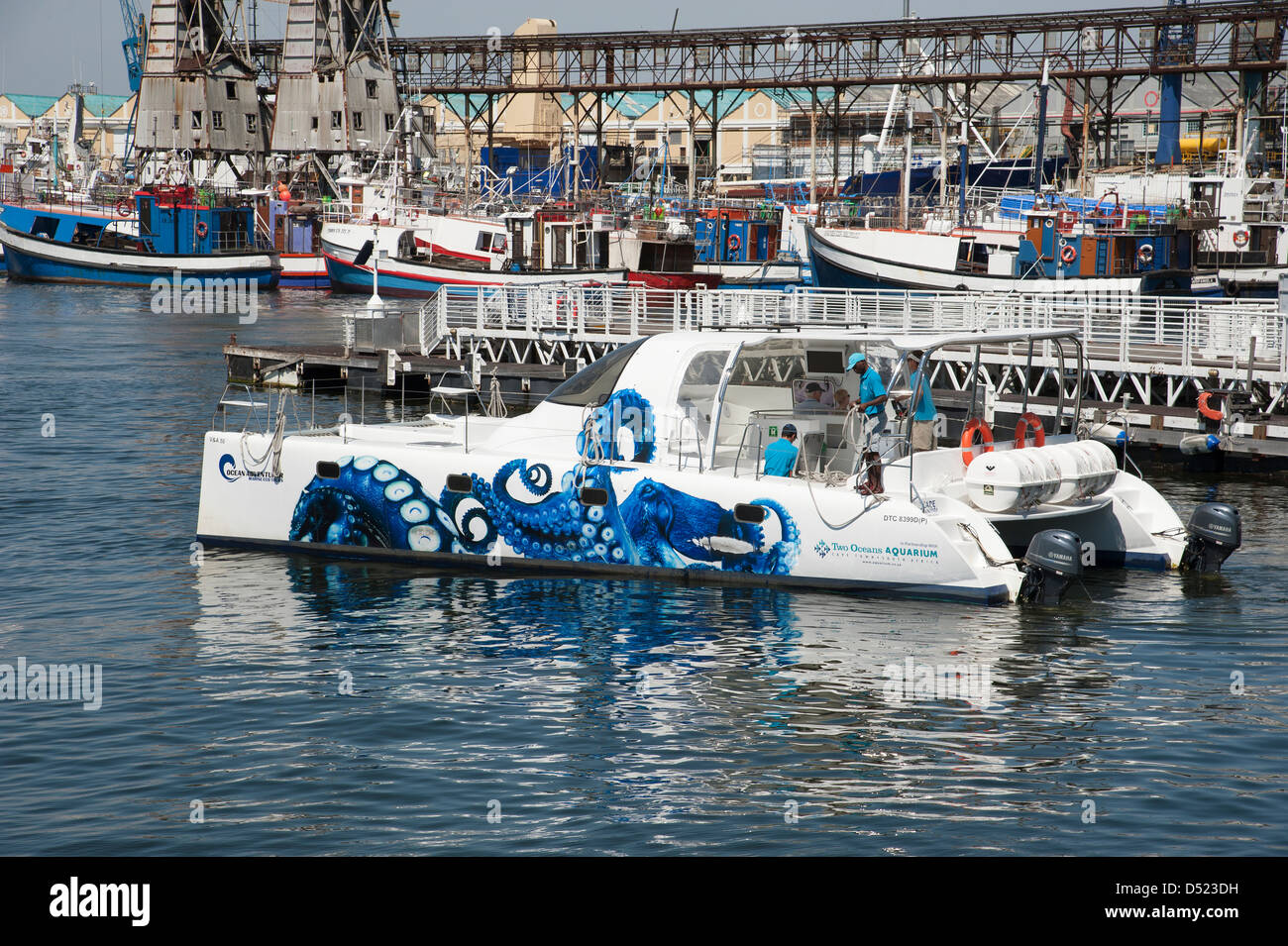 Ozean Abenteurer marine Eco Touren Katamaran aus zwei Ozeane Aquarium Cape Town South Africa Stockfoto