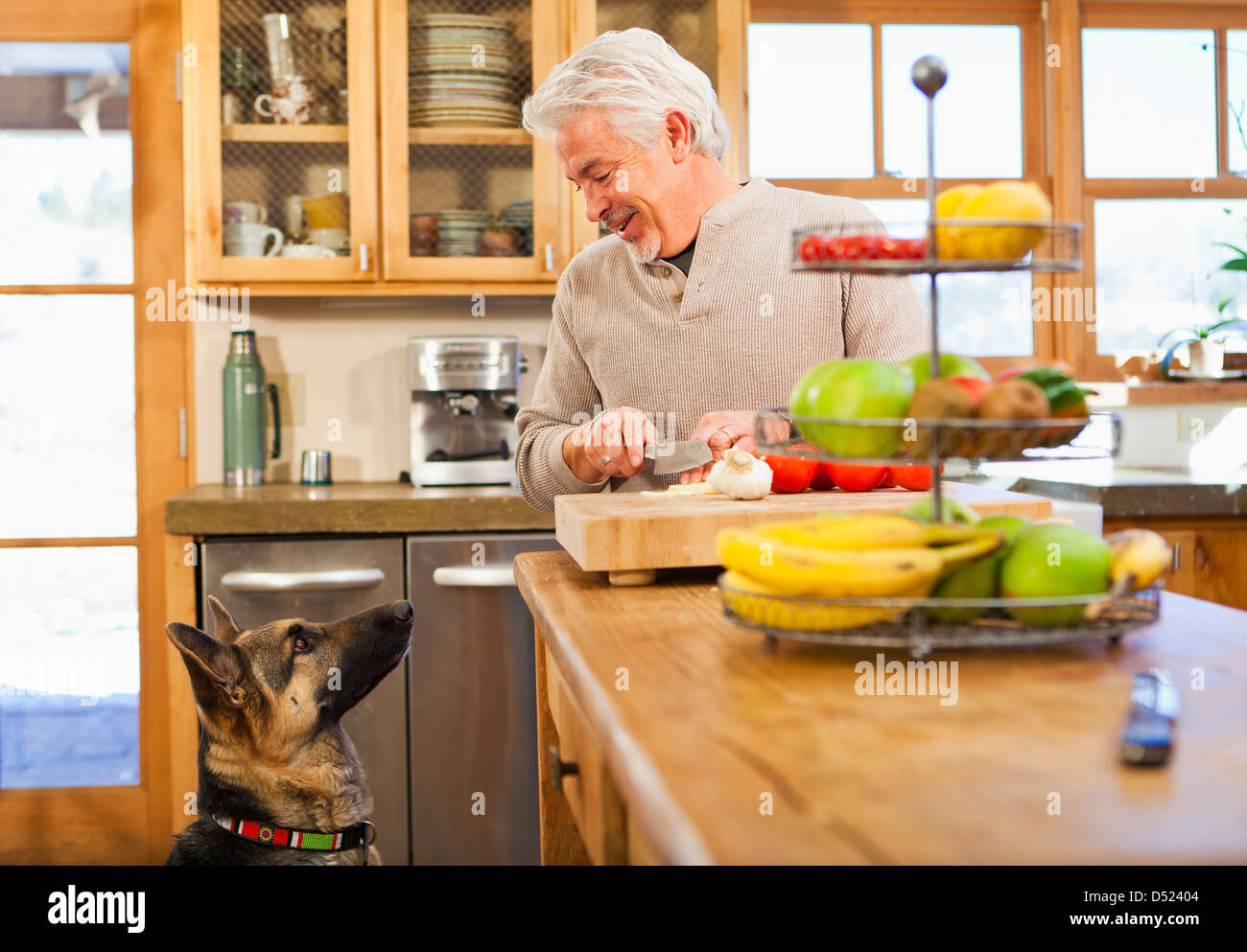 Hispanic Mann mit Hund betteln in Küche Stockfoto