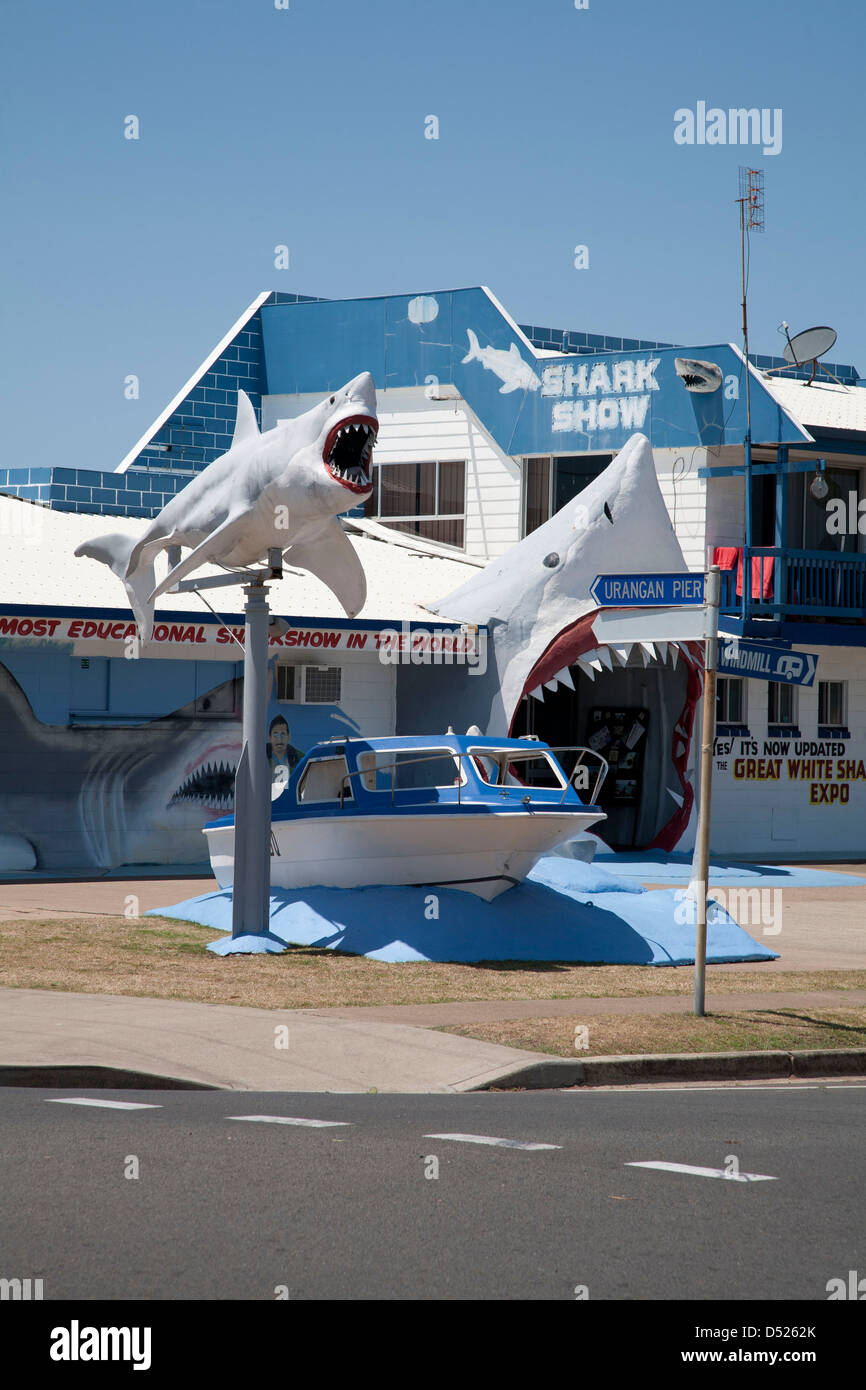 Vic Hislop Shark Display Urangan Hervey Bay-Queensland-Australien Stockfoto