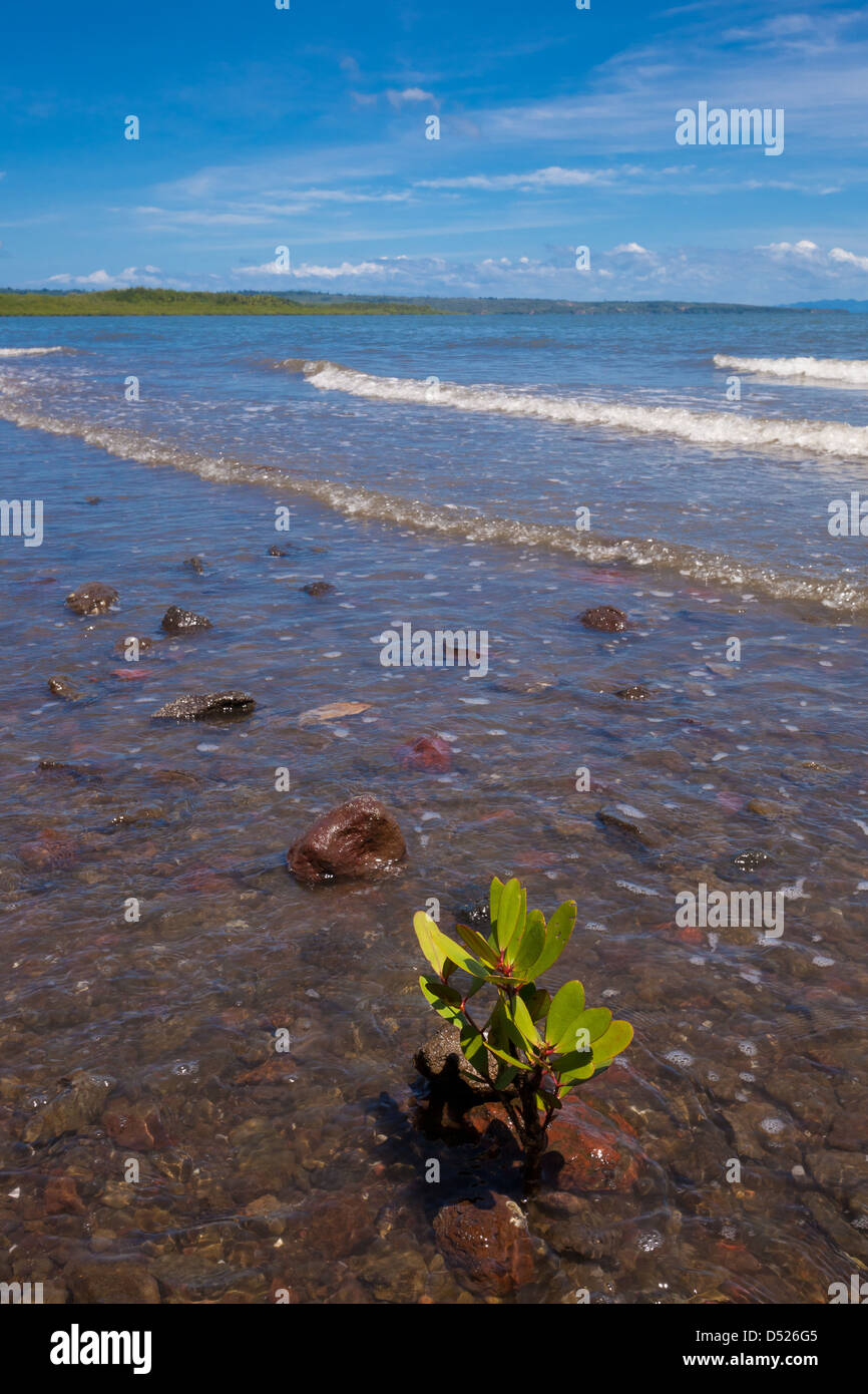 Küstenlandschaft auf der Ost Küste der Isla de Coiba, Pazifik, Veraguas Provinz, Republik von Panama. Stockfoto
