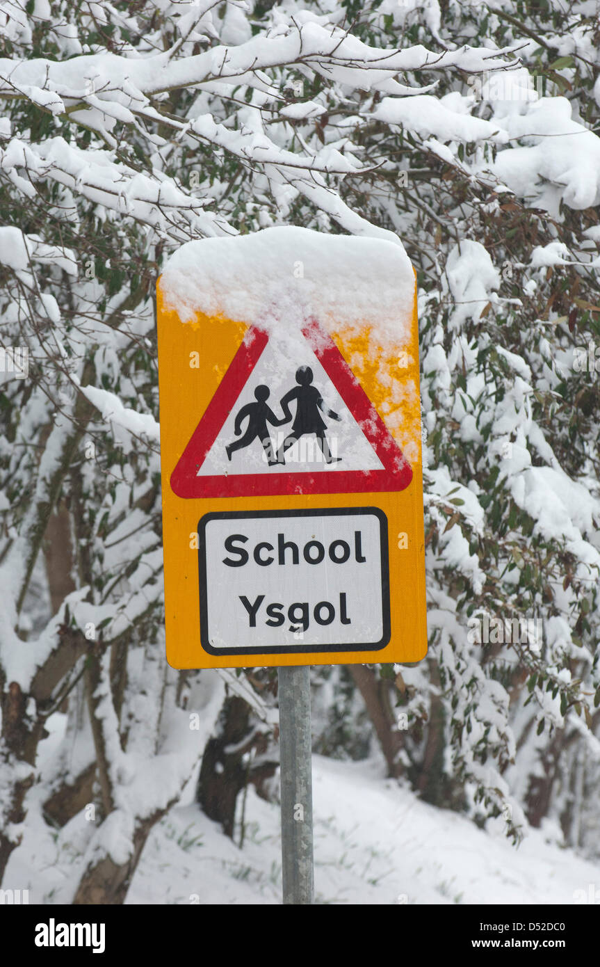 Llangollen, Wales, UK. 22. März 2013. Viele Schulen wurden wegen des Schnees geschlossen. Bäume wurden umgeweht blockieren Straßen und starker Schneefall bis 20cms stellenweise gestört Verkehr in Nord-Wales letzte Nacht und heute. Photo Credit: GRAHAM M LAWRENCE/Alamy Live-Nachrichten. Stockfoto